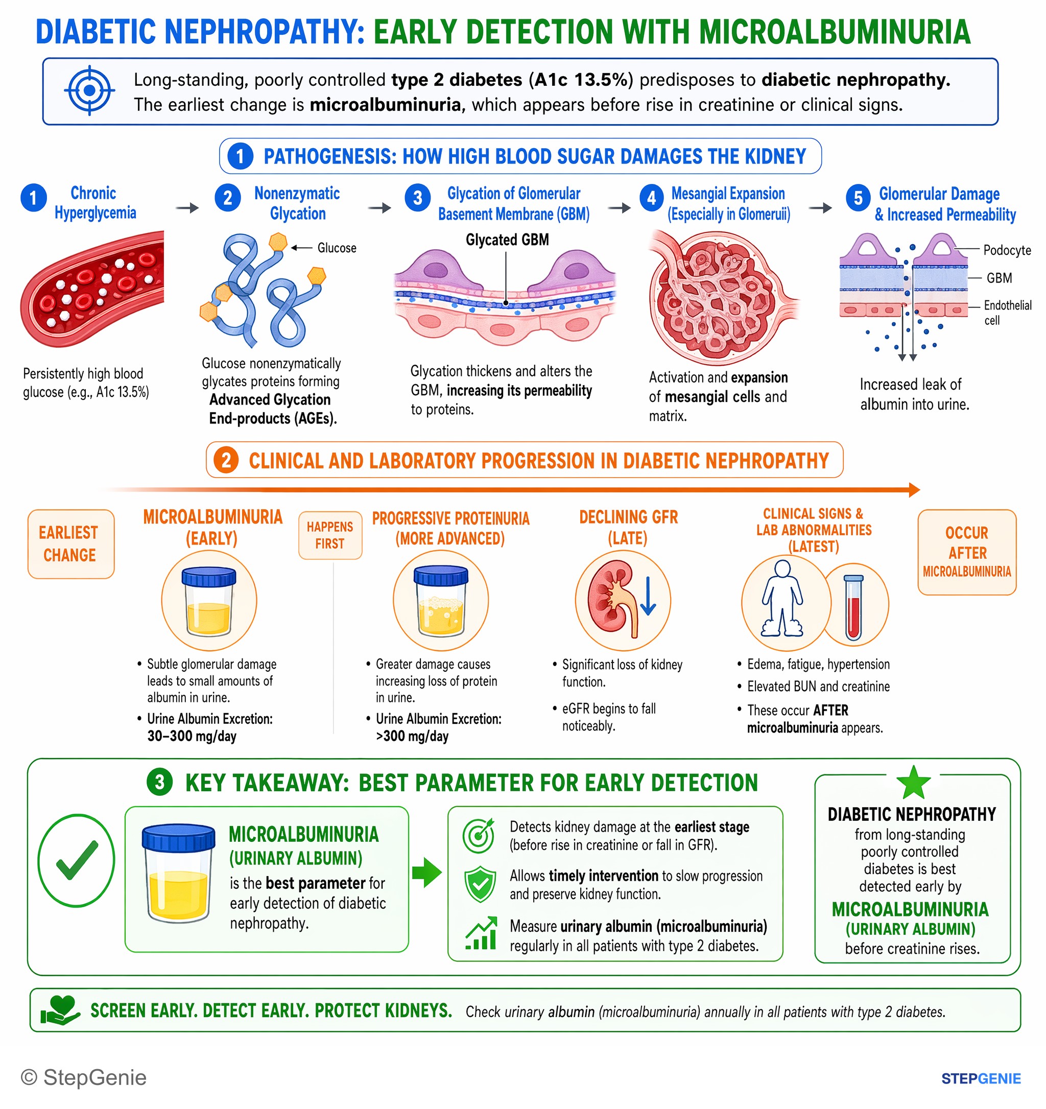 Chronic kidney disease — StepGenie USMLE Step 1 explanation infographic