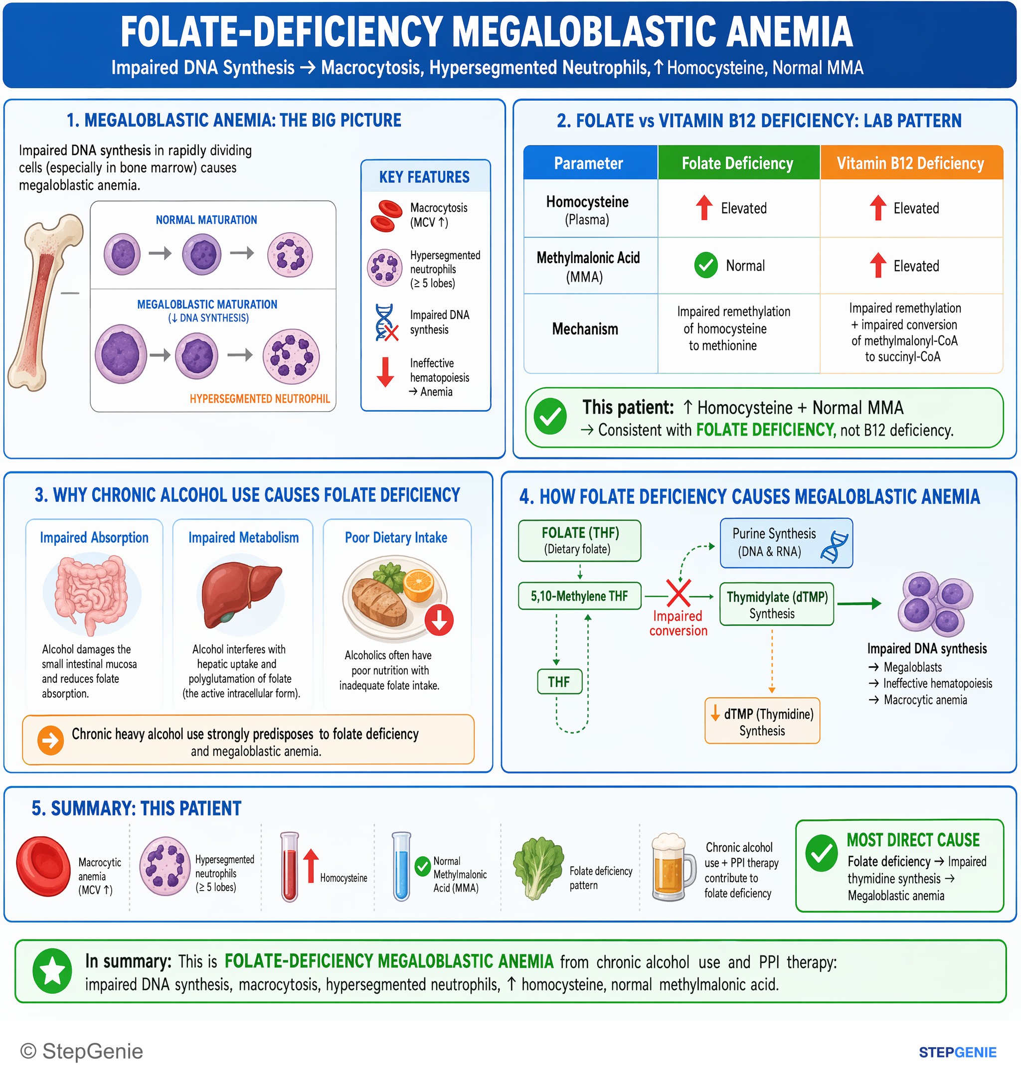 Disorders of nutrition — StepGenie USMLE Step 1 explanation infographic