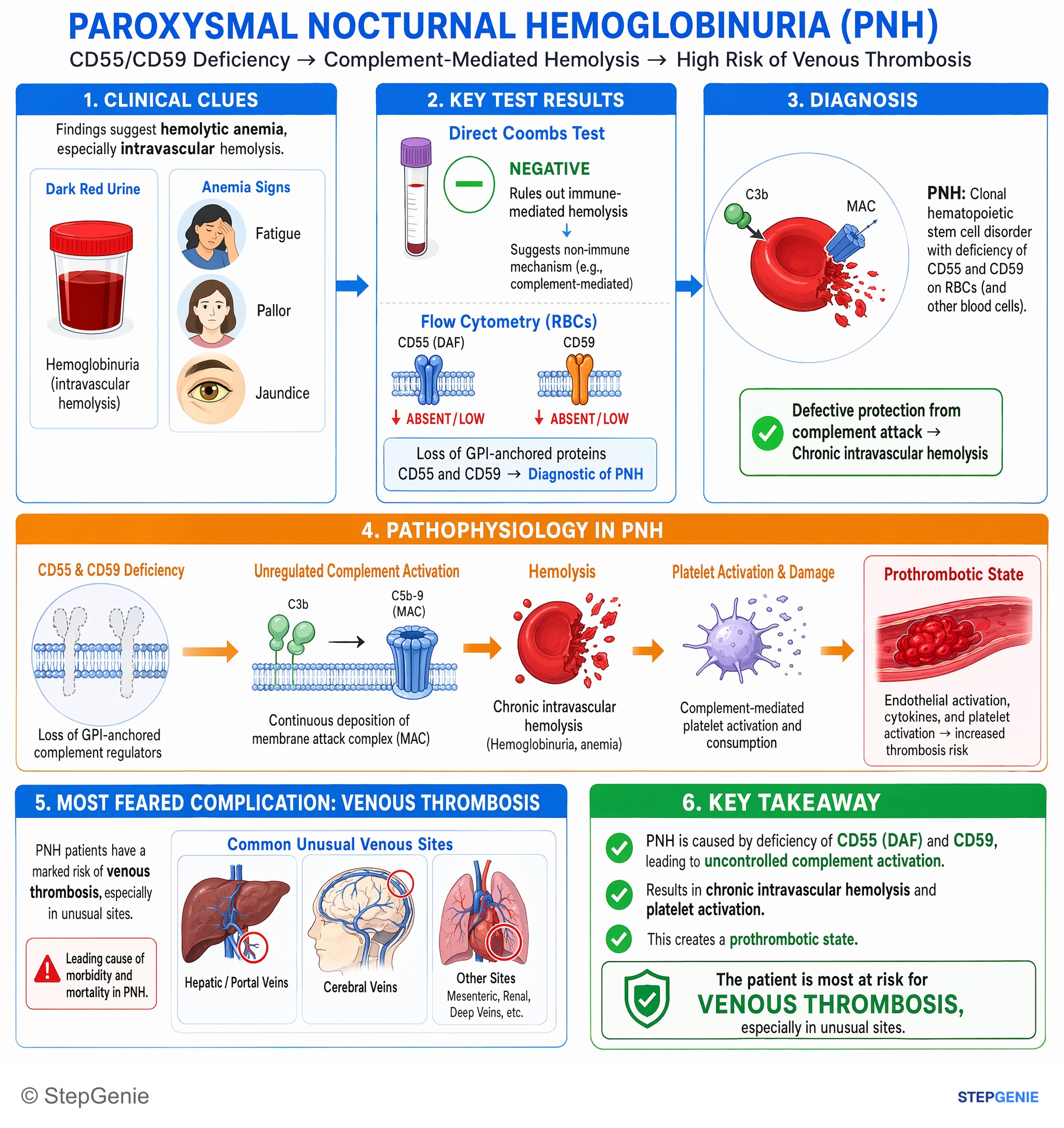 Hemolytic disorders — StepGenie USMLE Step 1 explanation infographic
