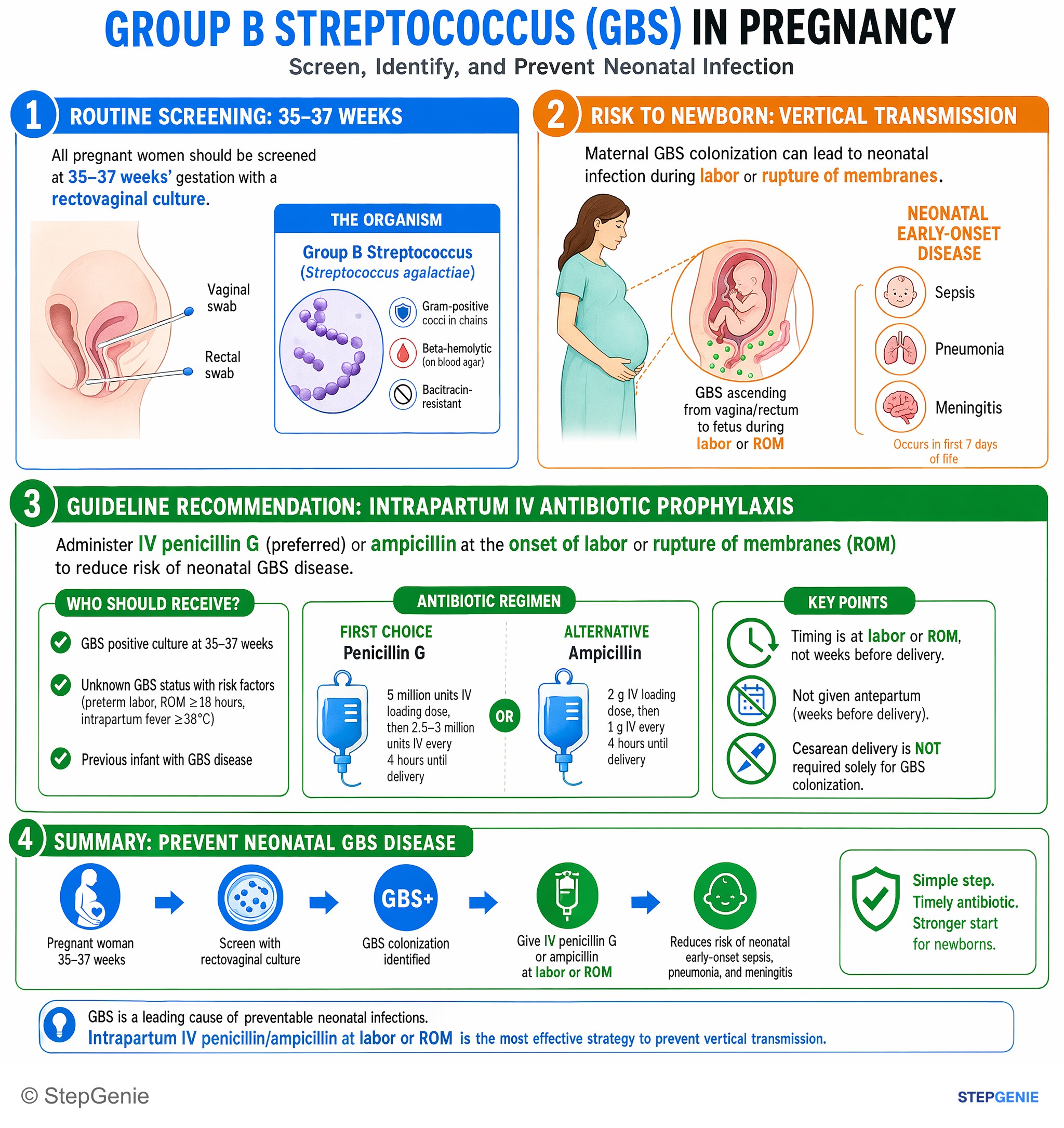 Bacterial infections — StepGenie USMLE Step 2 explanation infographic