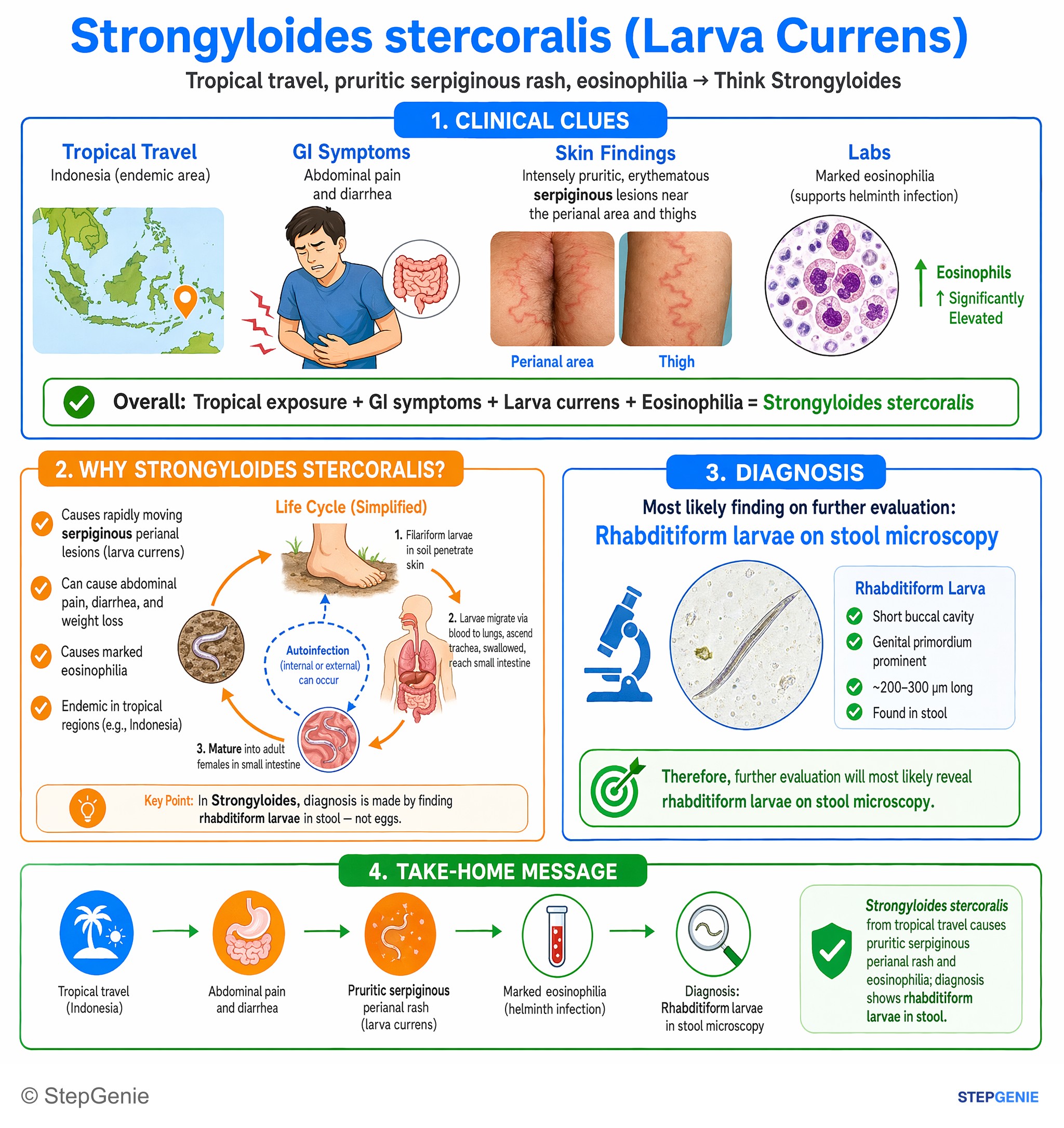 Intestinal and colorectal disorders — StepGenie USMLE Step 1 explanation infographic