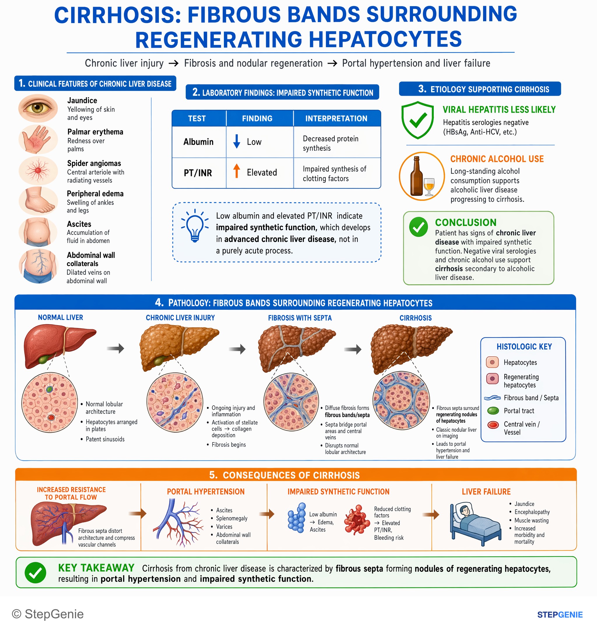 Hepatic disorders — StepGenie USMLE Step 1 explanation infographic