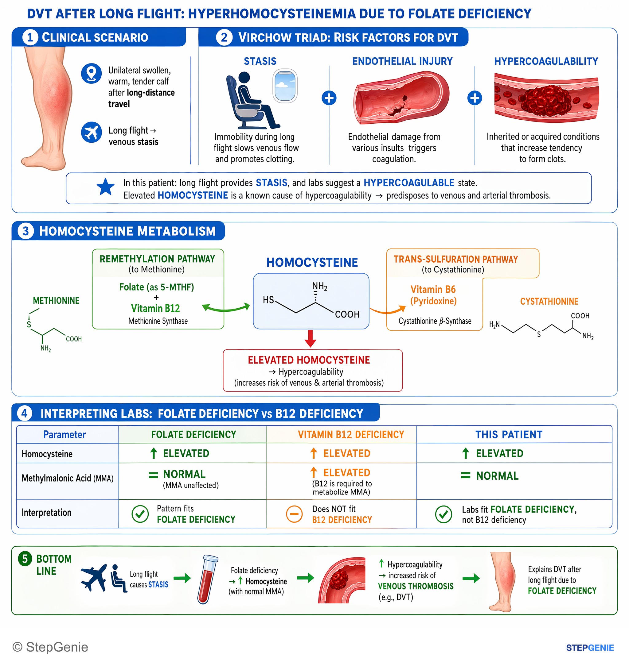 Hemostasis and thrombosis — StepGenie USMLE Step 1 explanation infographic