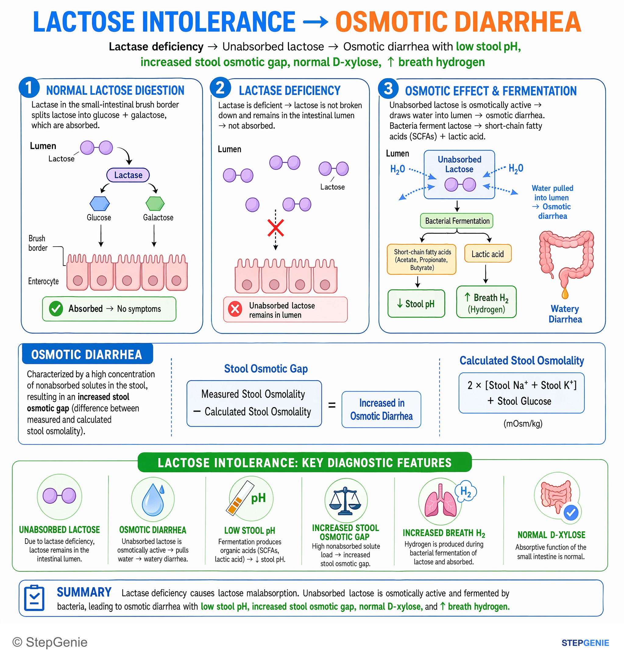 Absorptive conditions — StepGenie USMLE Step 1 explanation infographic