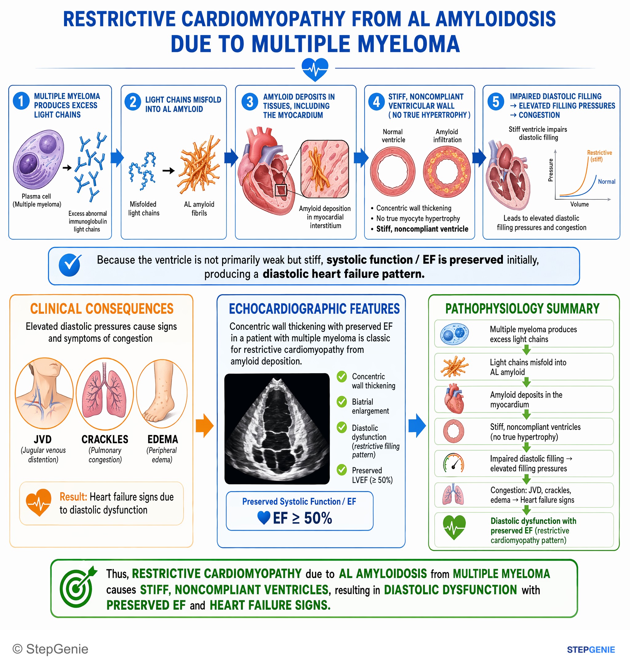 Heart failure and shock — StepGenie USMLE Step 1 explanation infographic