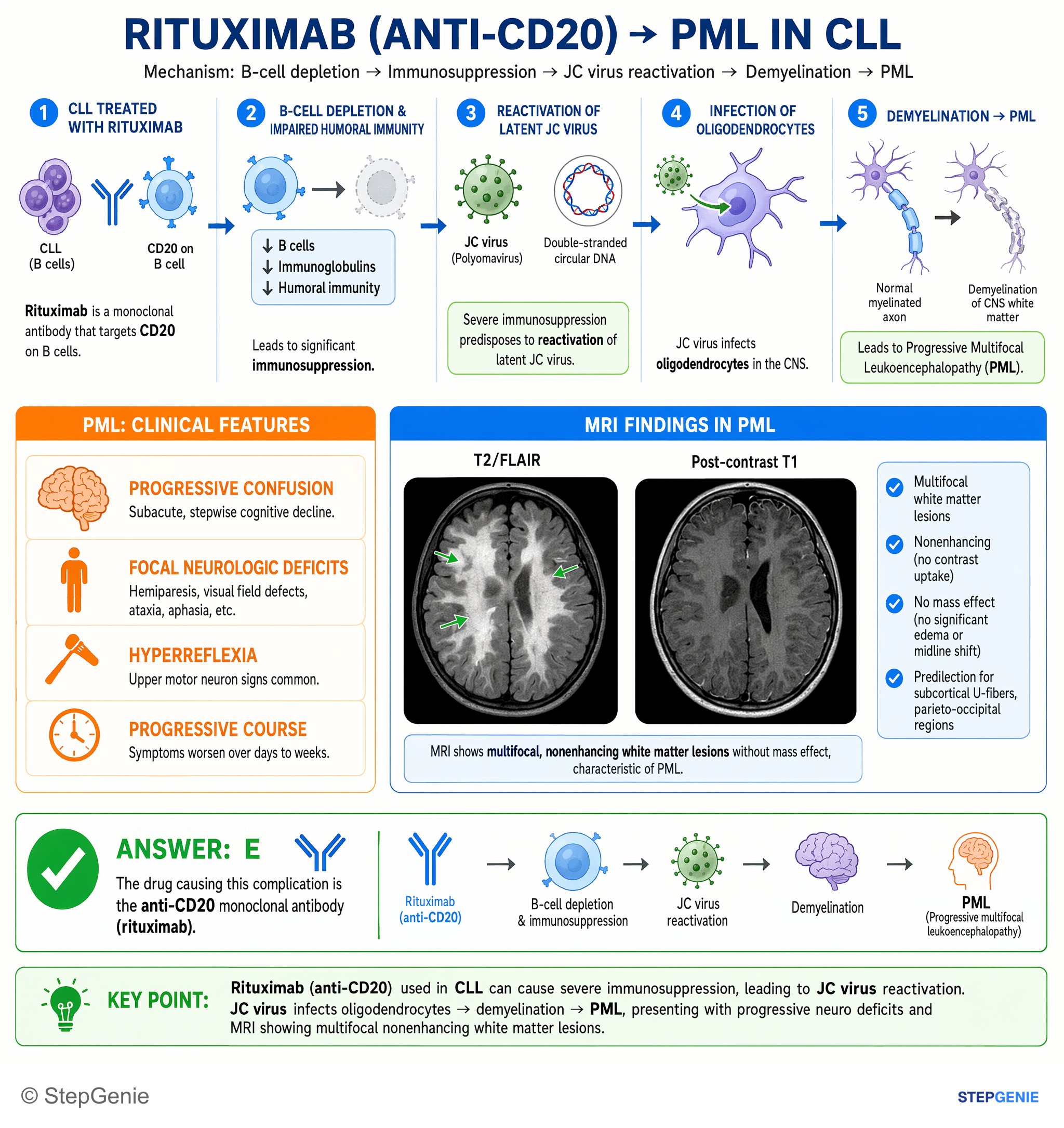 Drug effects / Toxic neuropathies — StepGenie USMLE Step 1 explanation infographic