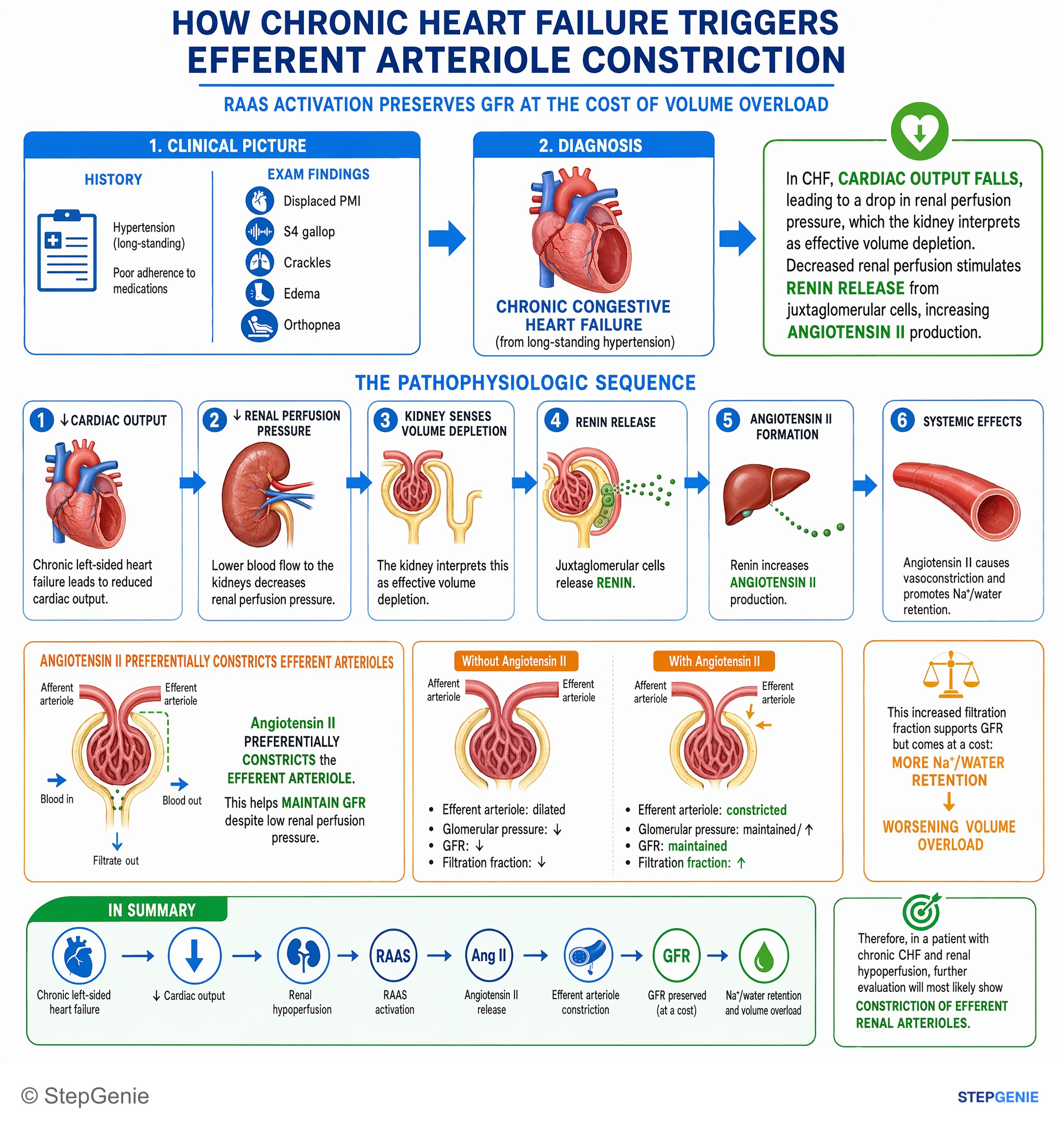 Heart failure and shock — StepGenie USMLE Step 1 explanation infographic