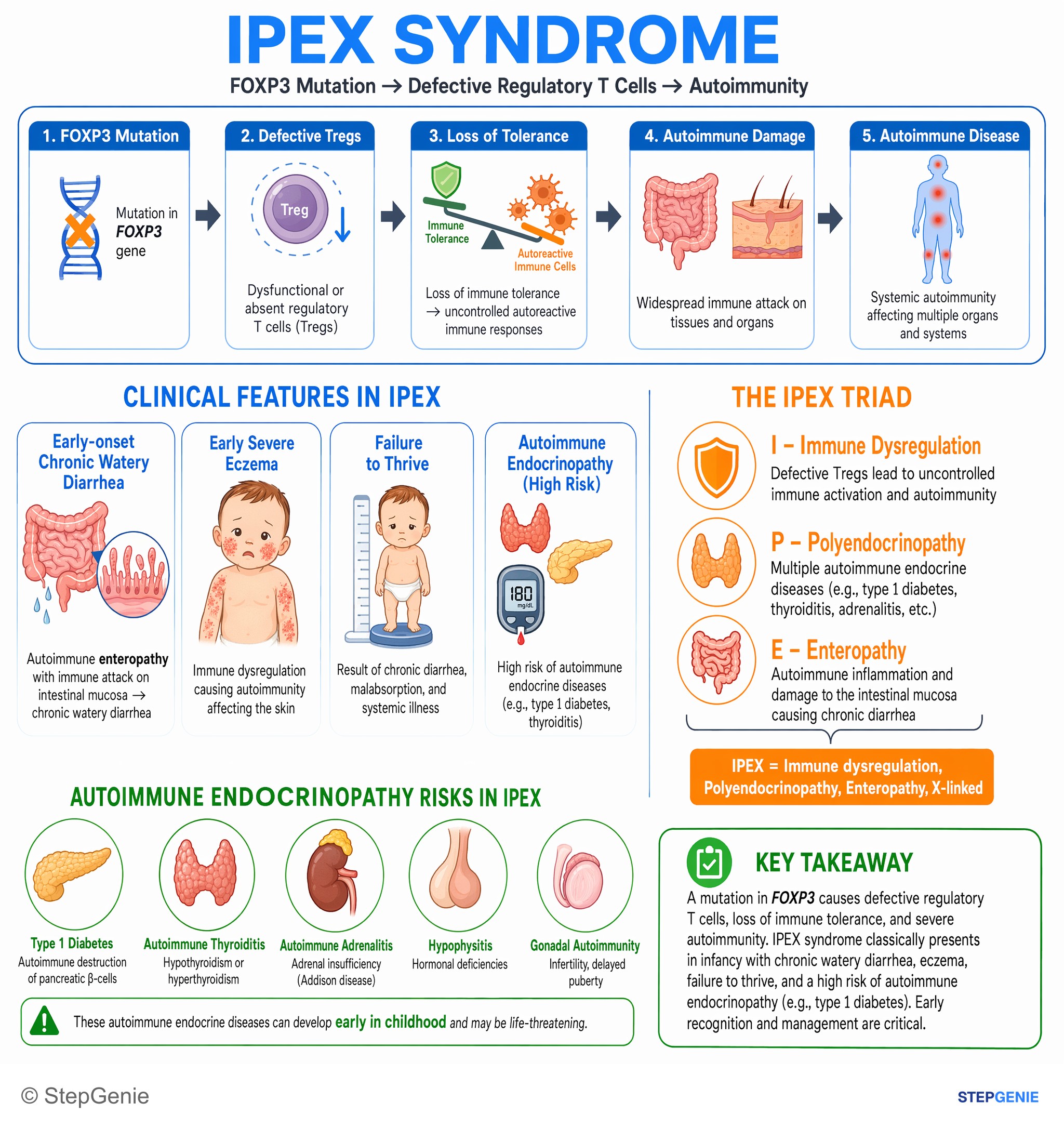 Autoimmune disorders — StepGenie USMLE Step 1 explanation infographic