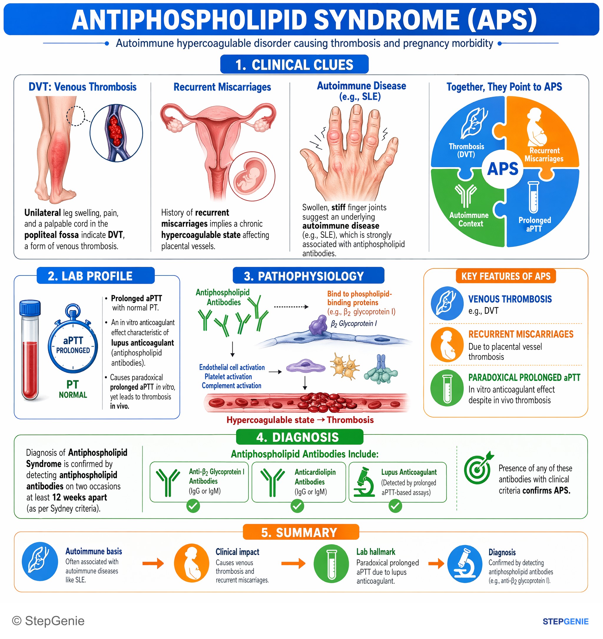 Hemostasis and thrombosis — StepGenie USMLE Step 1 explanation infographic