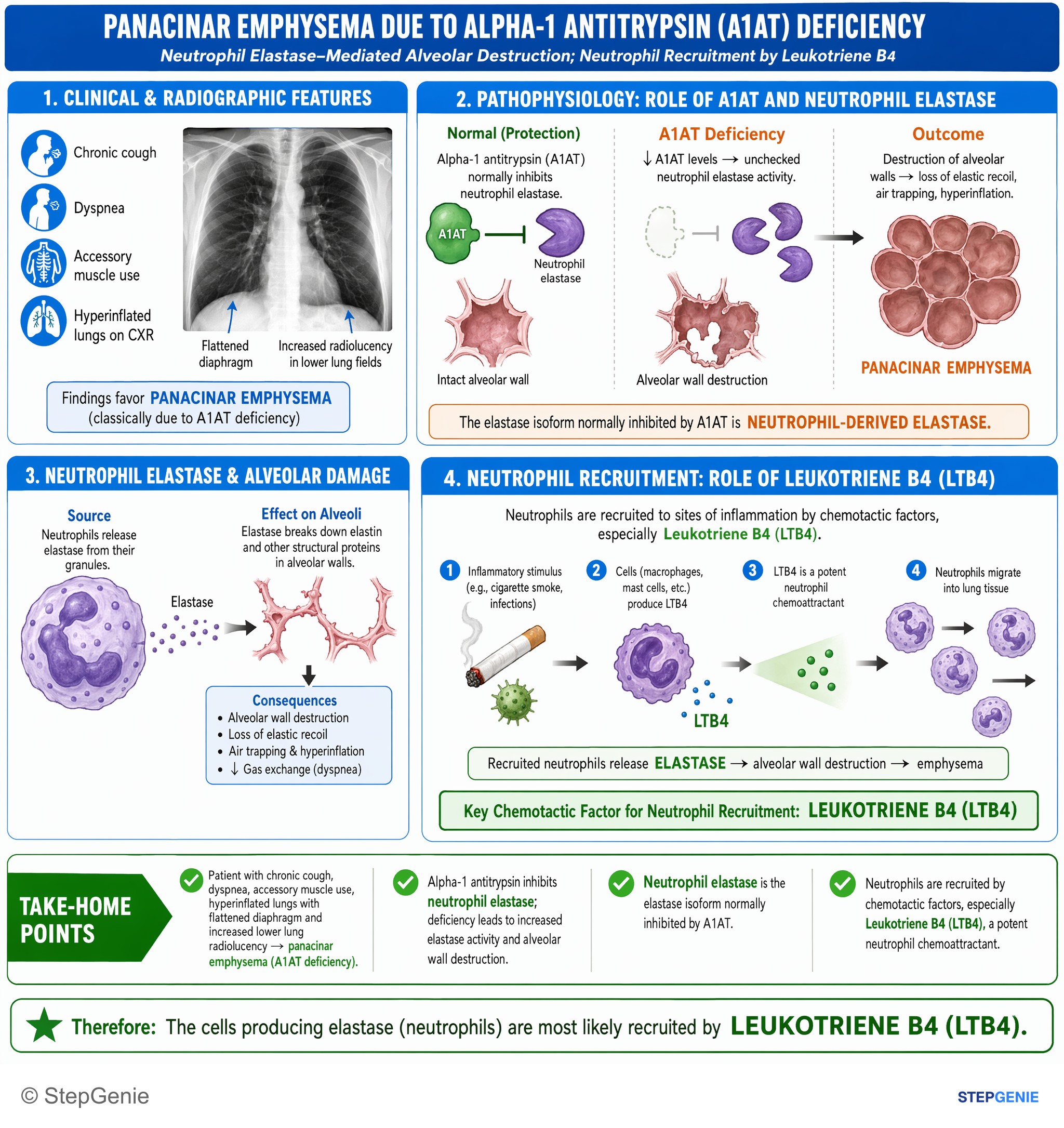 Pulmonary infections — StepGenie USMLE Step 1 explanation infographic