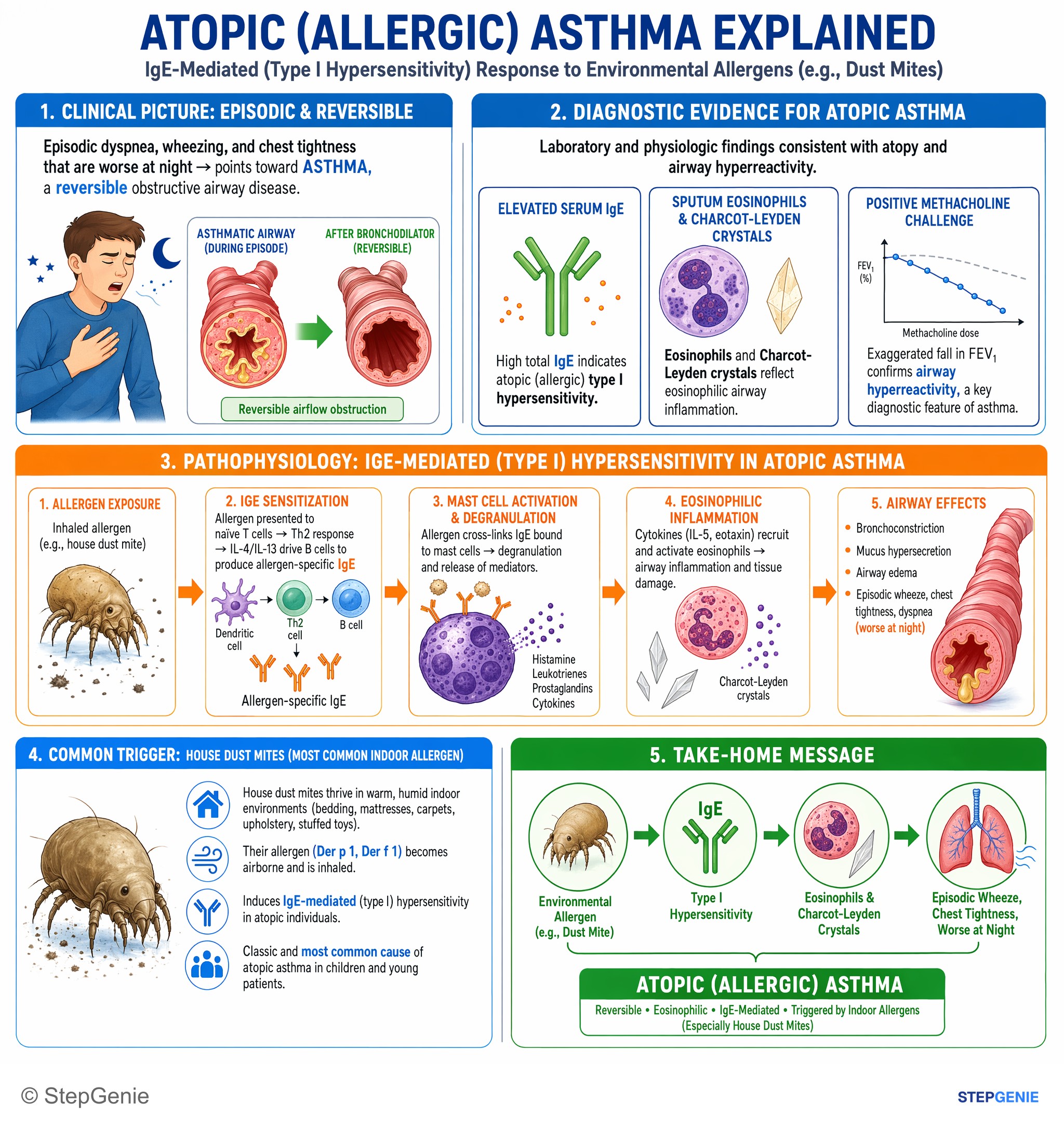 Obstructive lung disease — StepGenie USMLE Step 1 explanation infographic