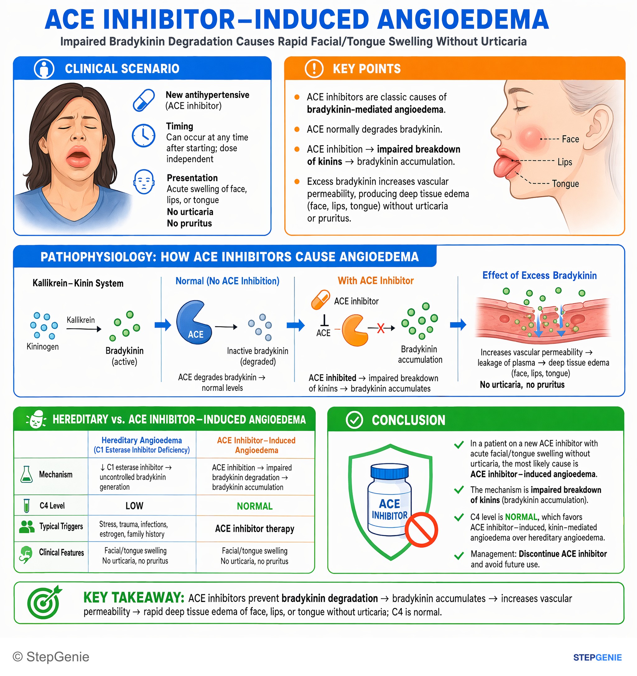 Hypertension — StepGenie USMLE Step 1 explanation infographic