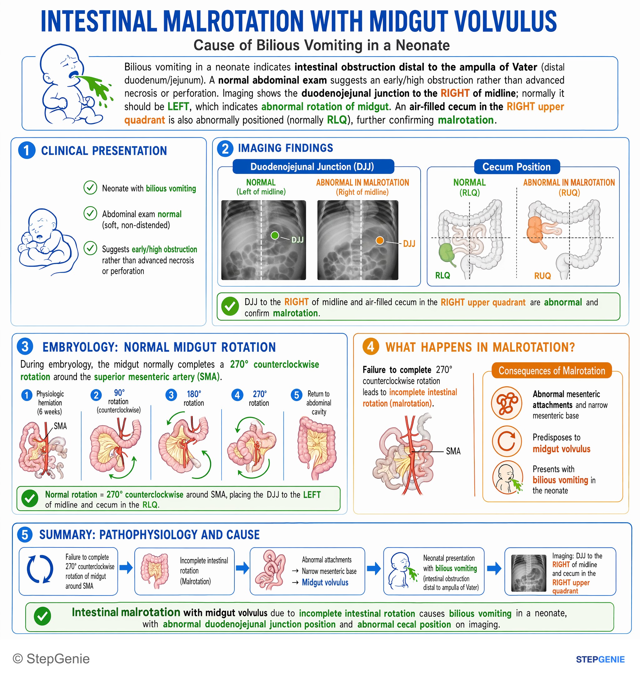 Congenital and developmental anomalies — StepGenie USMLE Step 1 explanation infographic