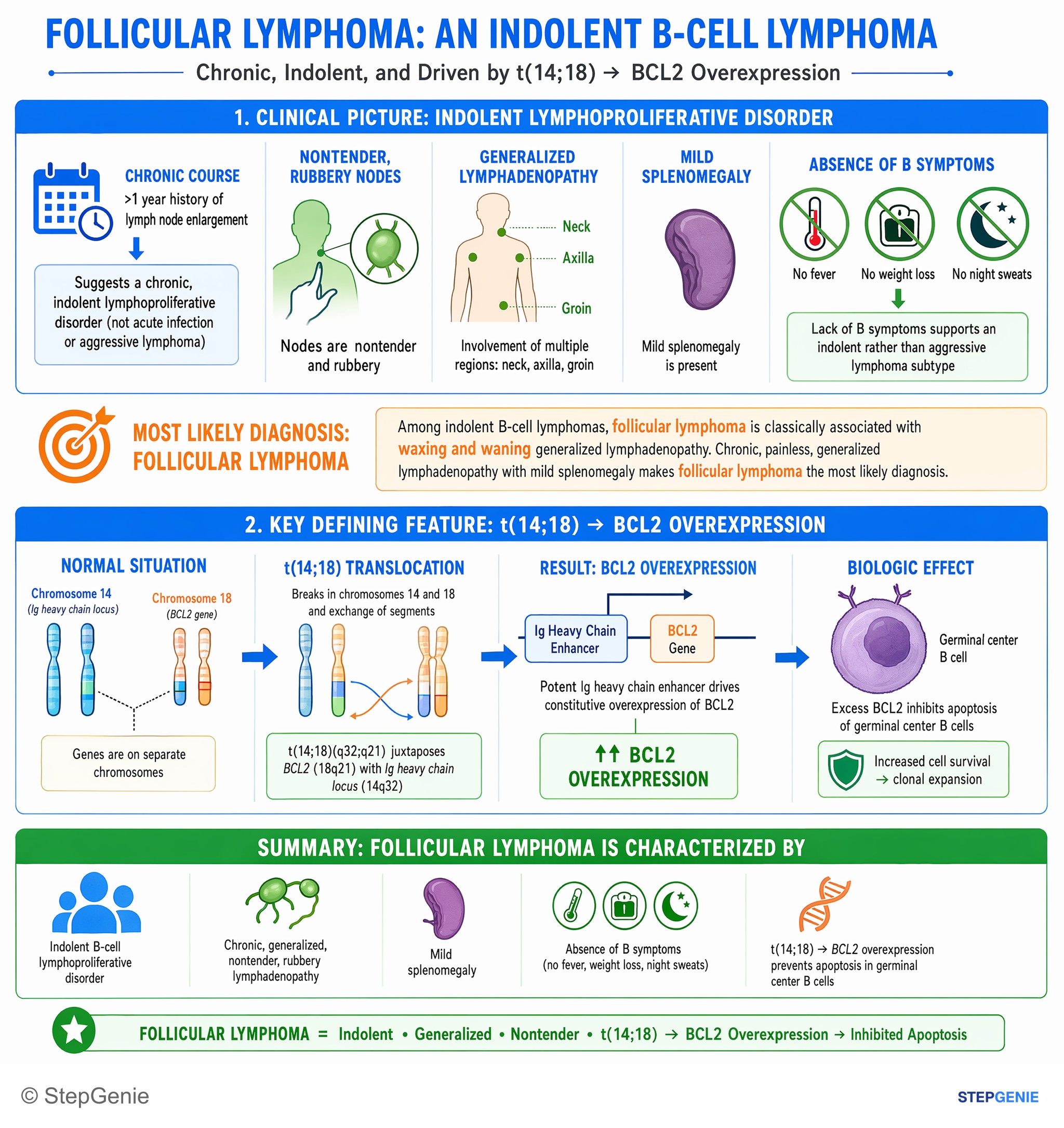 Hematology & Oncology — StepGenie USMLE Step 1 explanation infographic