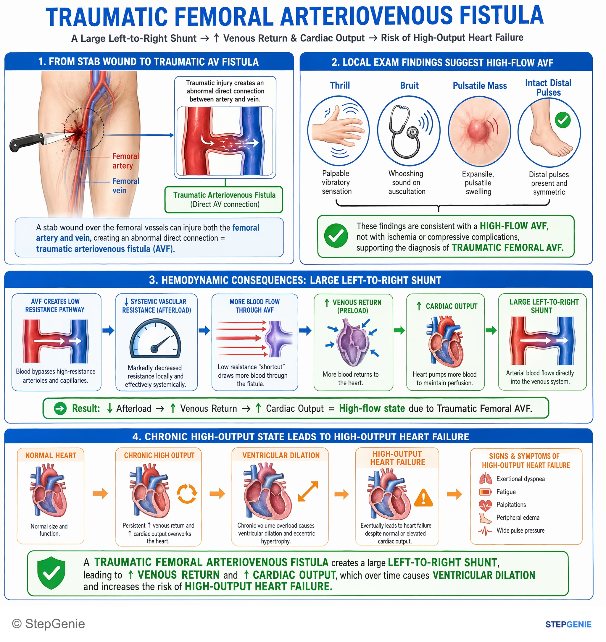 Aortic and peripheral artery diseases — StepGenie USMLE Step 2 explanation infographic