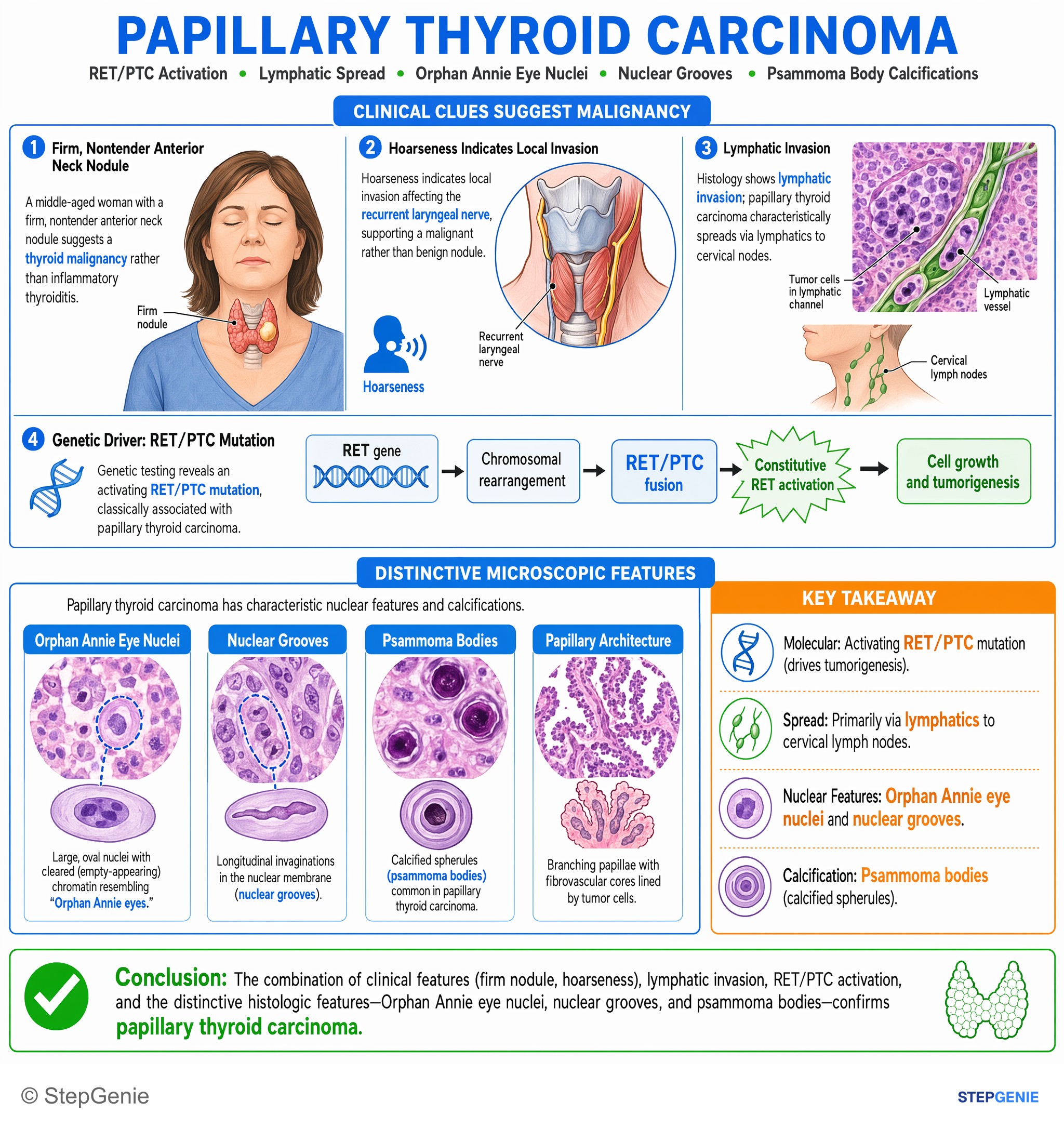 Endocrine tumors — StepGenie USMLE Step 1 explanation infographic