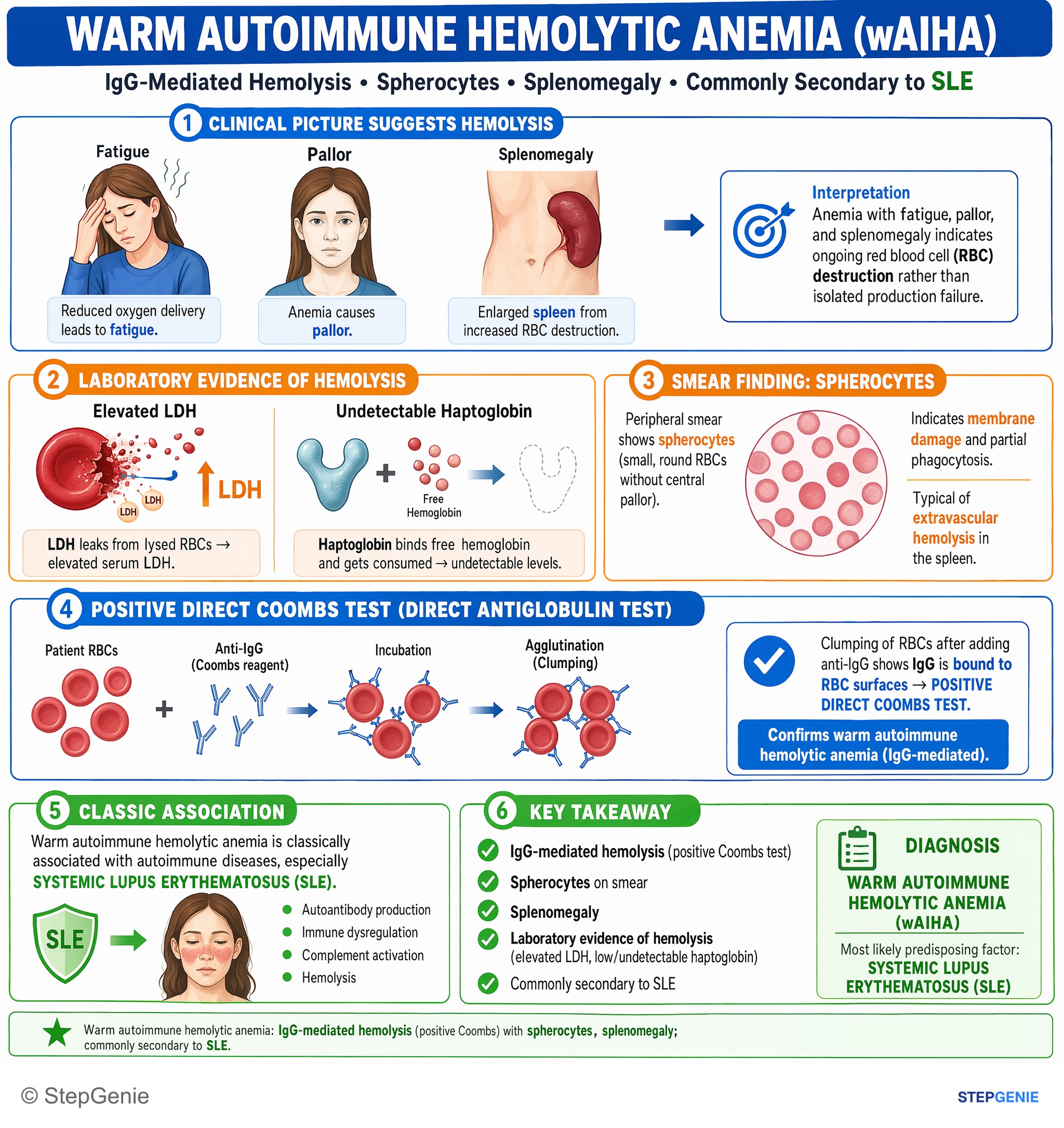Hemolytic disorders — StepGenie USMLE Step 1 explanation infographic