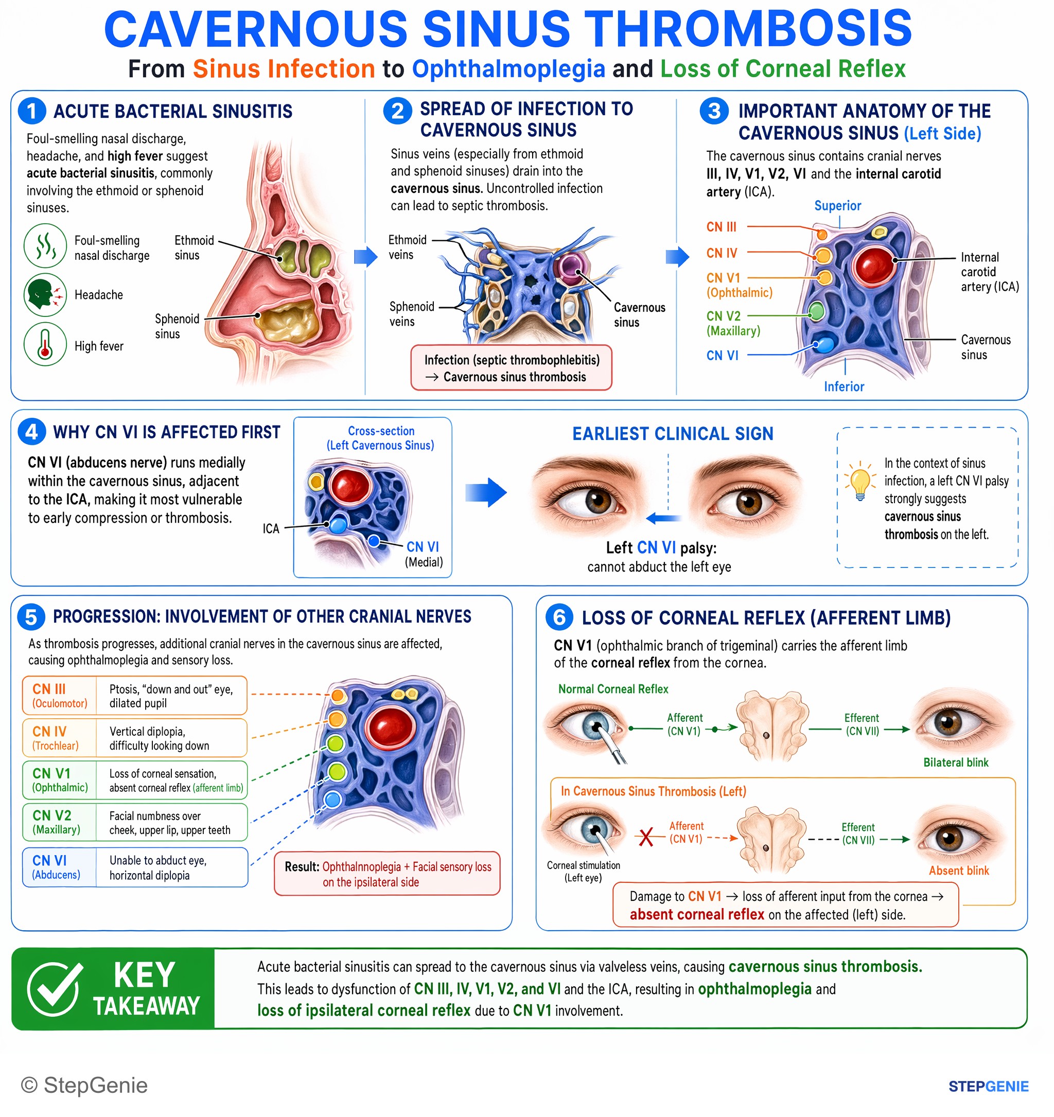 CNS infections — StepGenie USMLE Step 2 explanation infographic