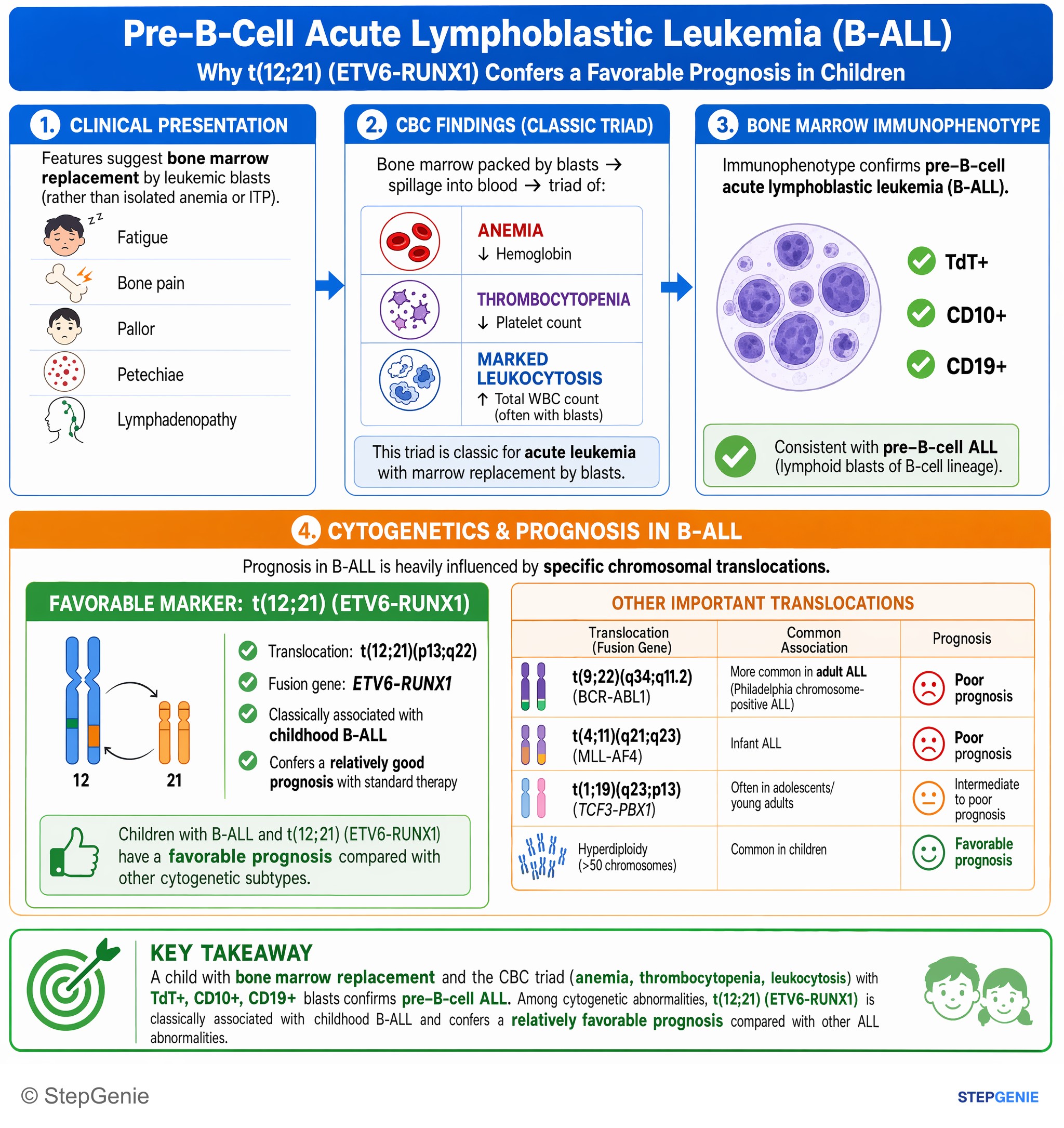 Principles of oncology — StepGenie USMLE Step 1 explanation infographic