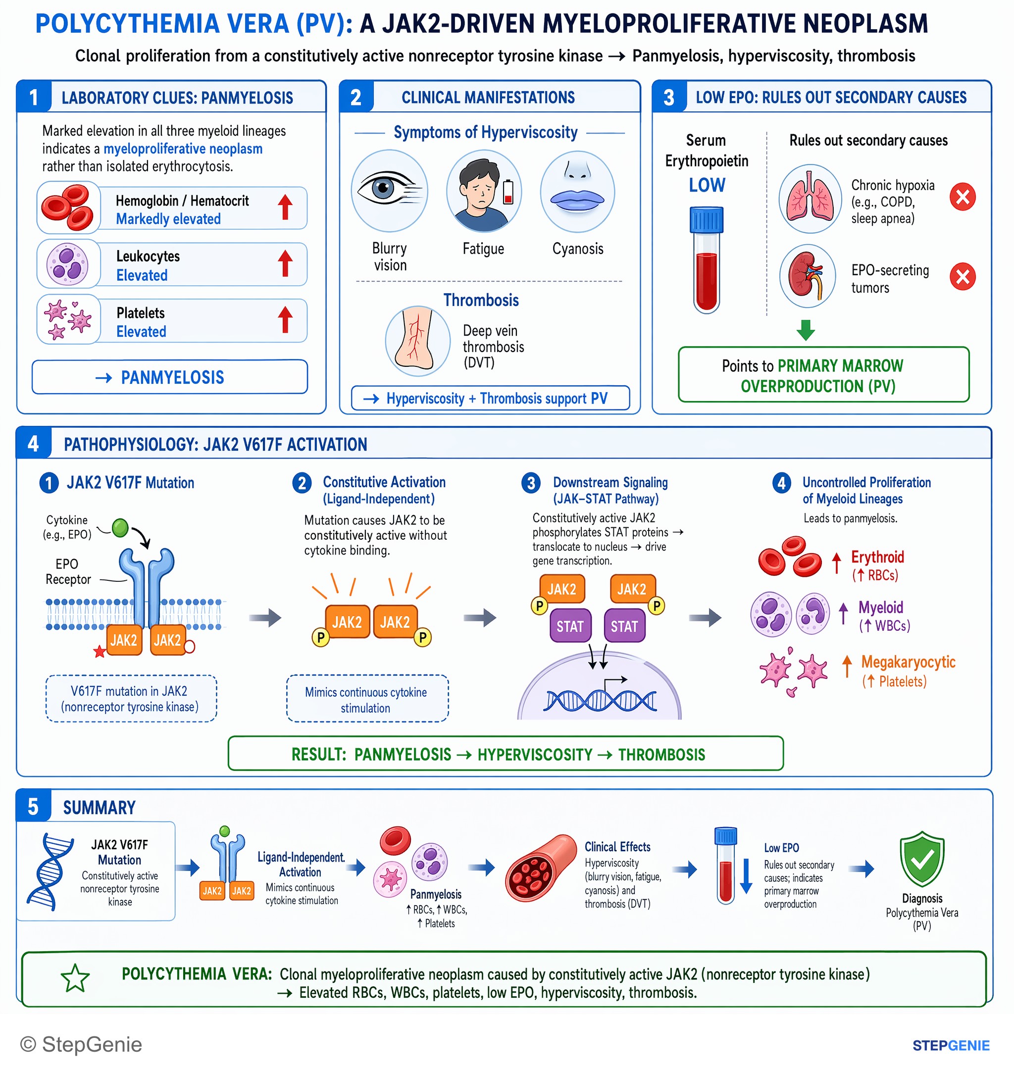 Principles of oncology — StepGenie USMLE Step 1 explanation infographic