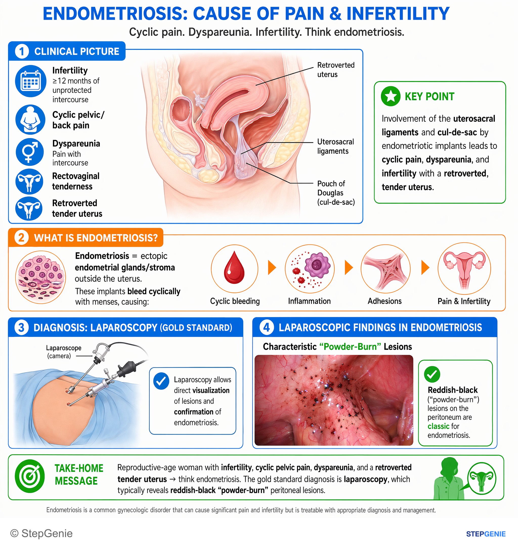 Miscellaneous — StepGenie USMLE Step 2 explanation infographic