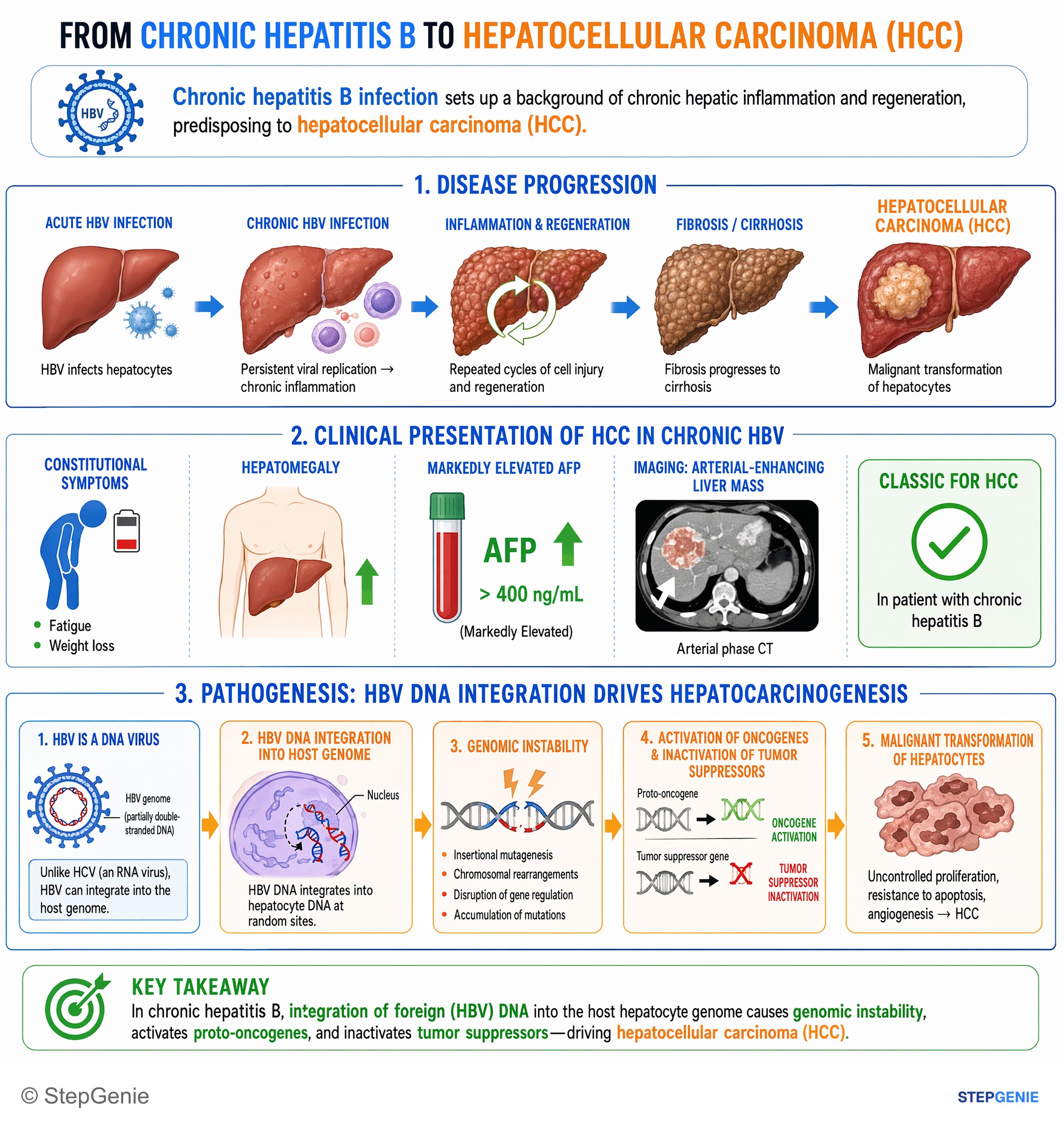 Hepatic disorders — StepGenie USMLE Step 1 explanation infographic