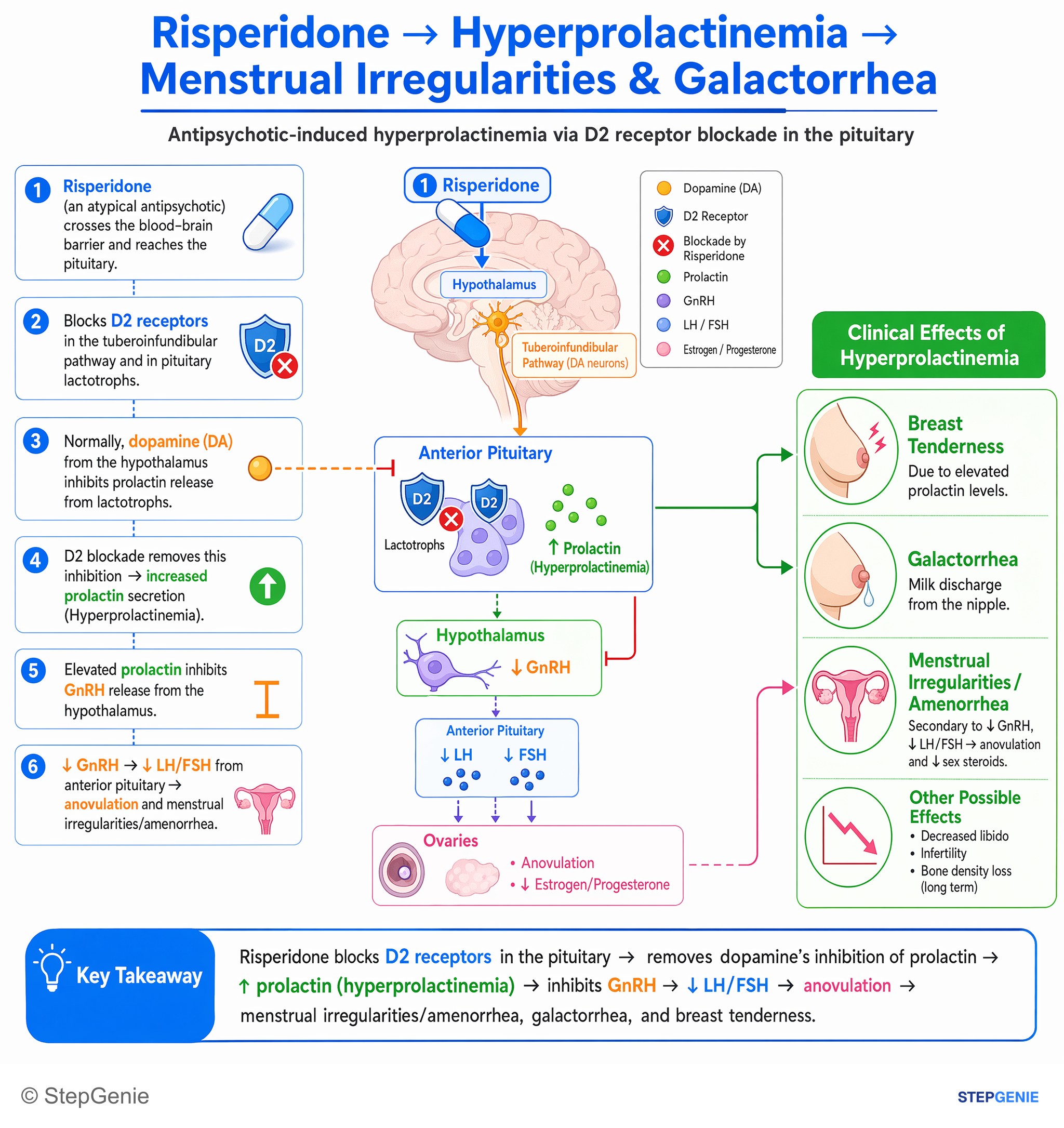 Hypothalamus and pituitary disorders — StepGenie USMLE Step 2 explanation infographic