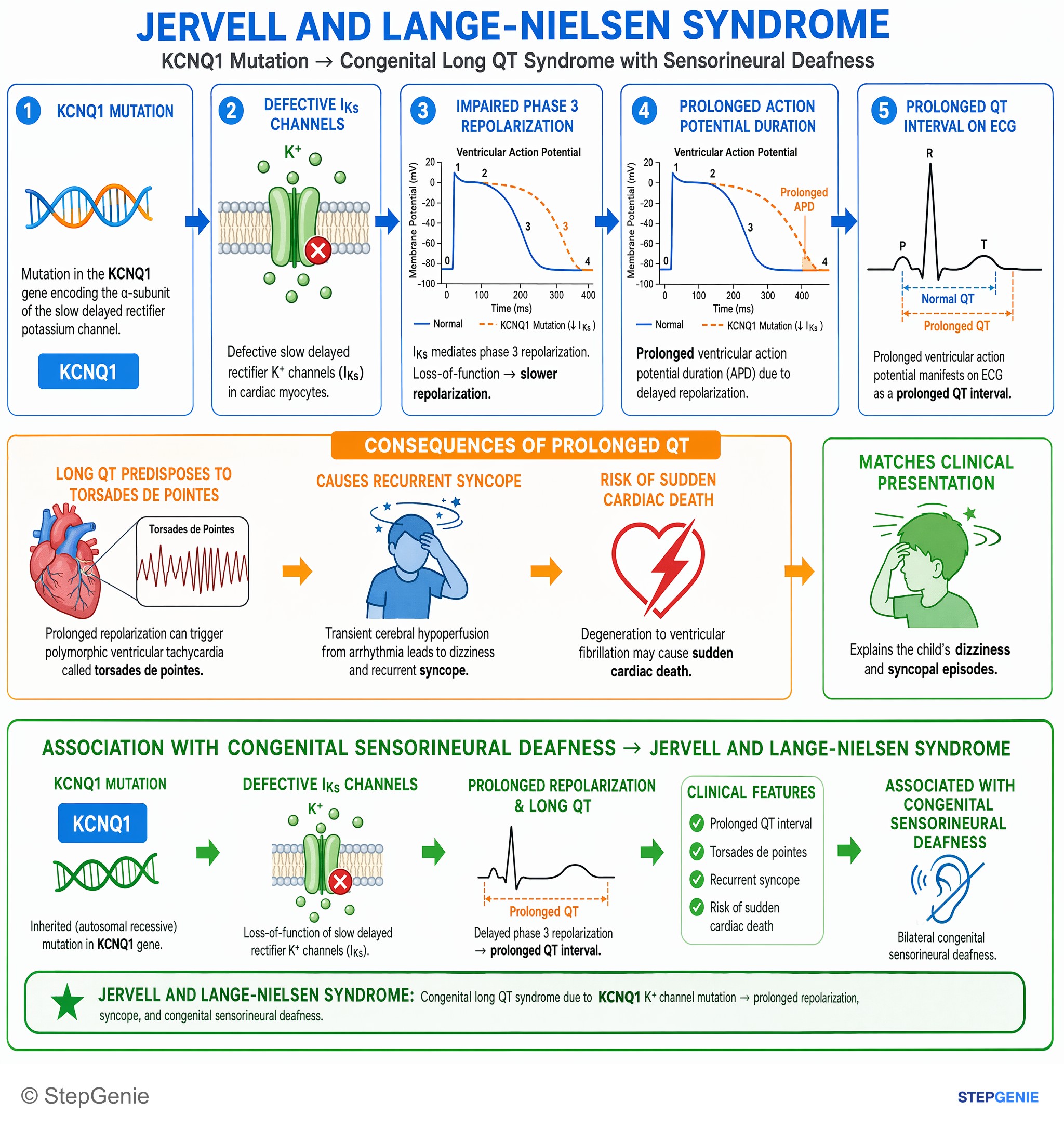 Cardiac arrhythmias — StepGenie USMLE Step 1 explanation infographic