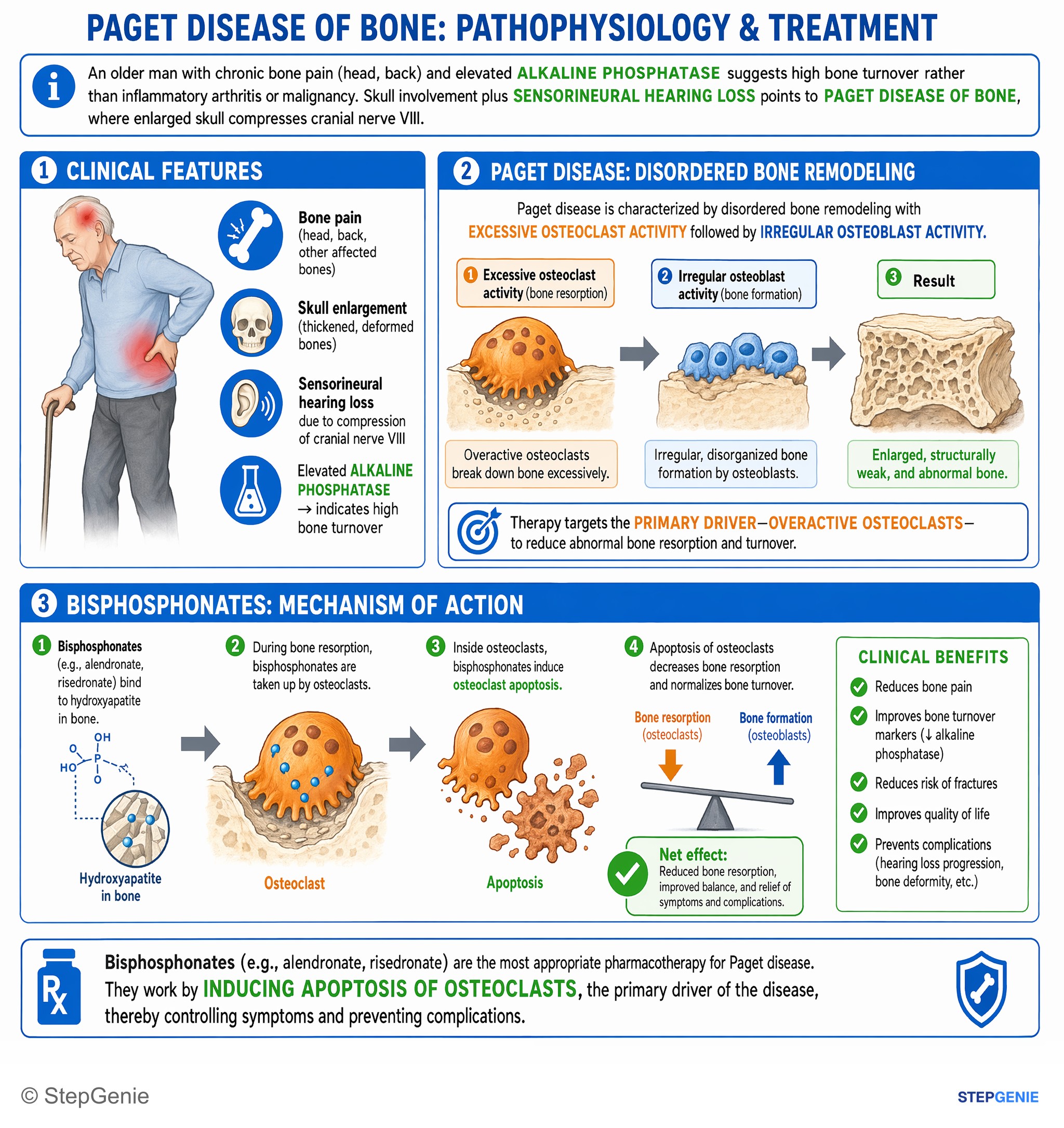 Metabolic bone disorders — StepGenie USMLE Step 1 explanation infographic