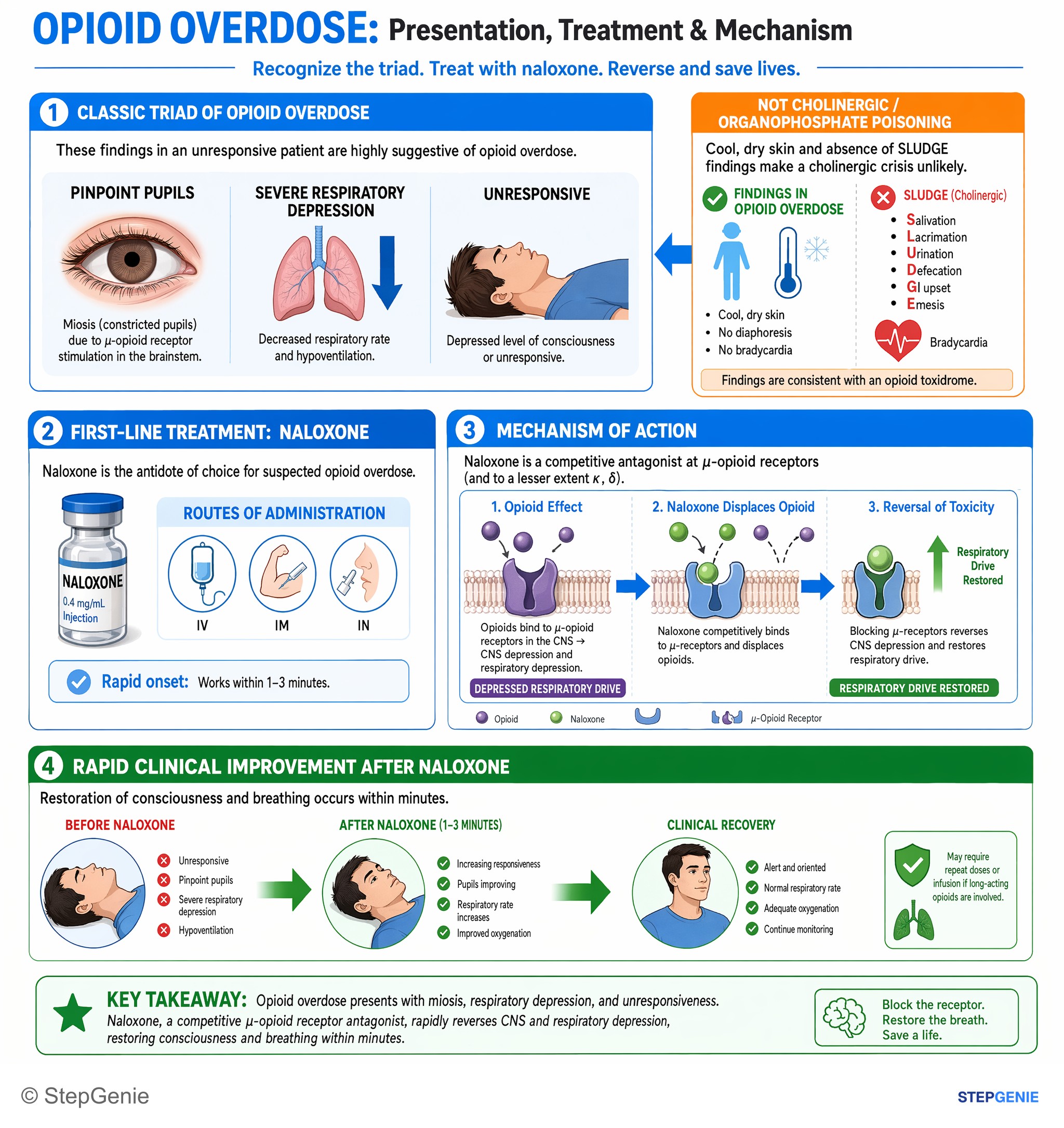 Drug effects / Toxic neuropathies — StepGenie USMLE Step 1 explanation infographic