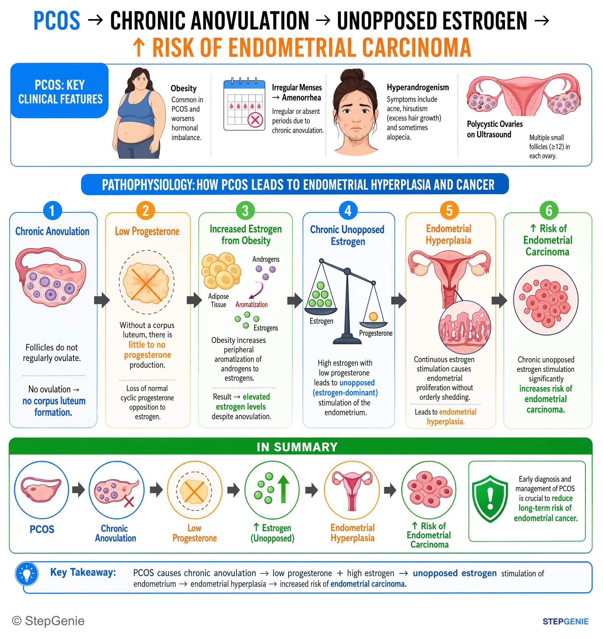 Reproductive endocrinology — StepGenie USMLE Step 2 explanation infographic