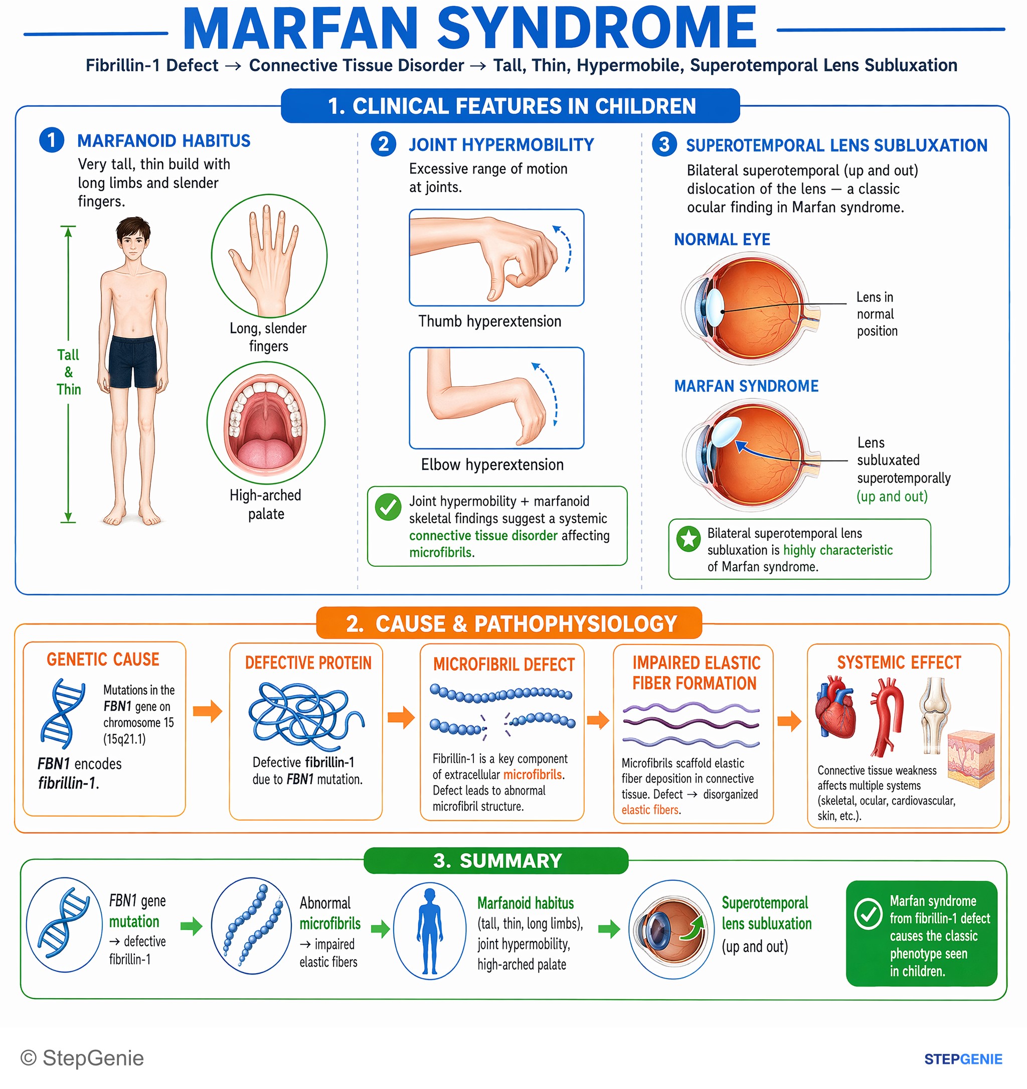 Collagen / Connective tissue disorders — StepGenie USMLE Step 1 explanation infographic