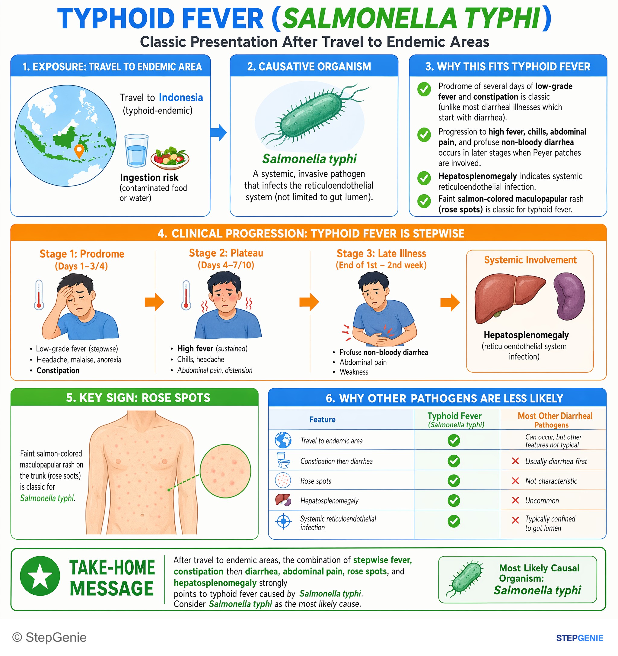 Bacterial infections — StepGenie USMLE Step 1 explanation infographic