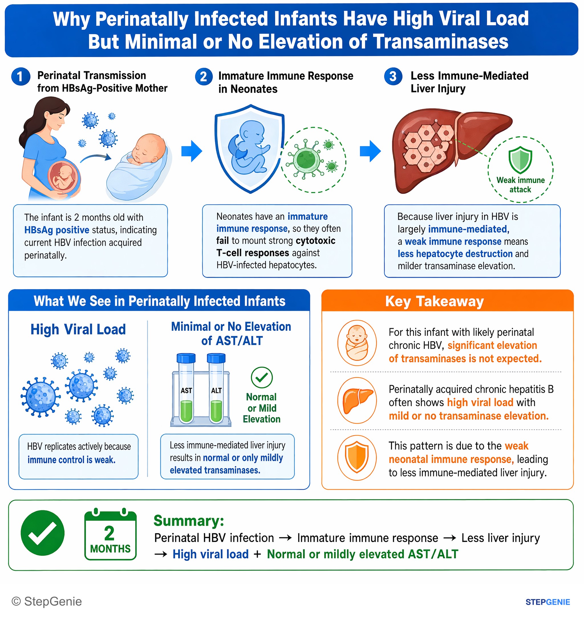 Viral infections — StepGenie USMLE Step 2 explanation infographic