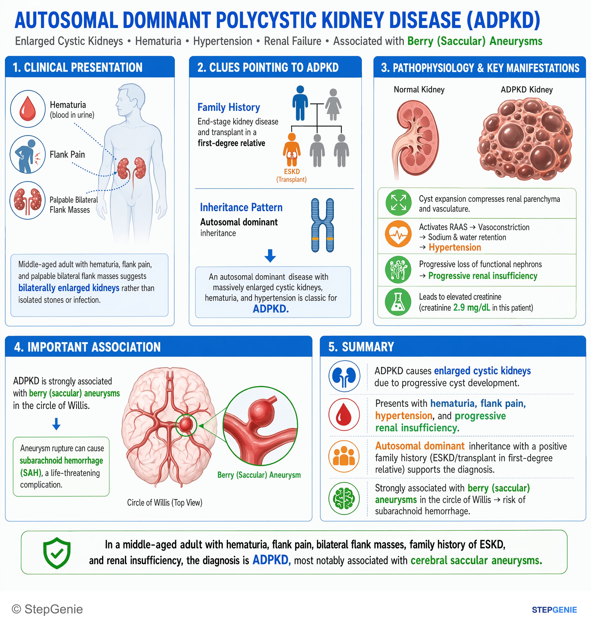 Cystic kidney diseases — StepGenie USMLE Step 2 explanation infographic