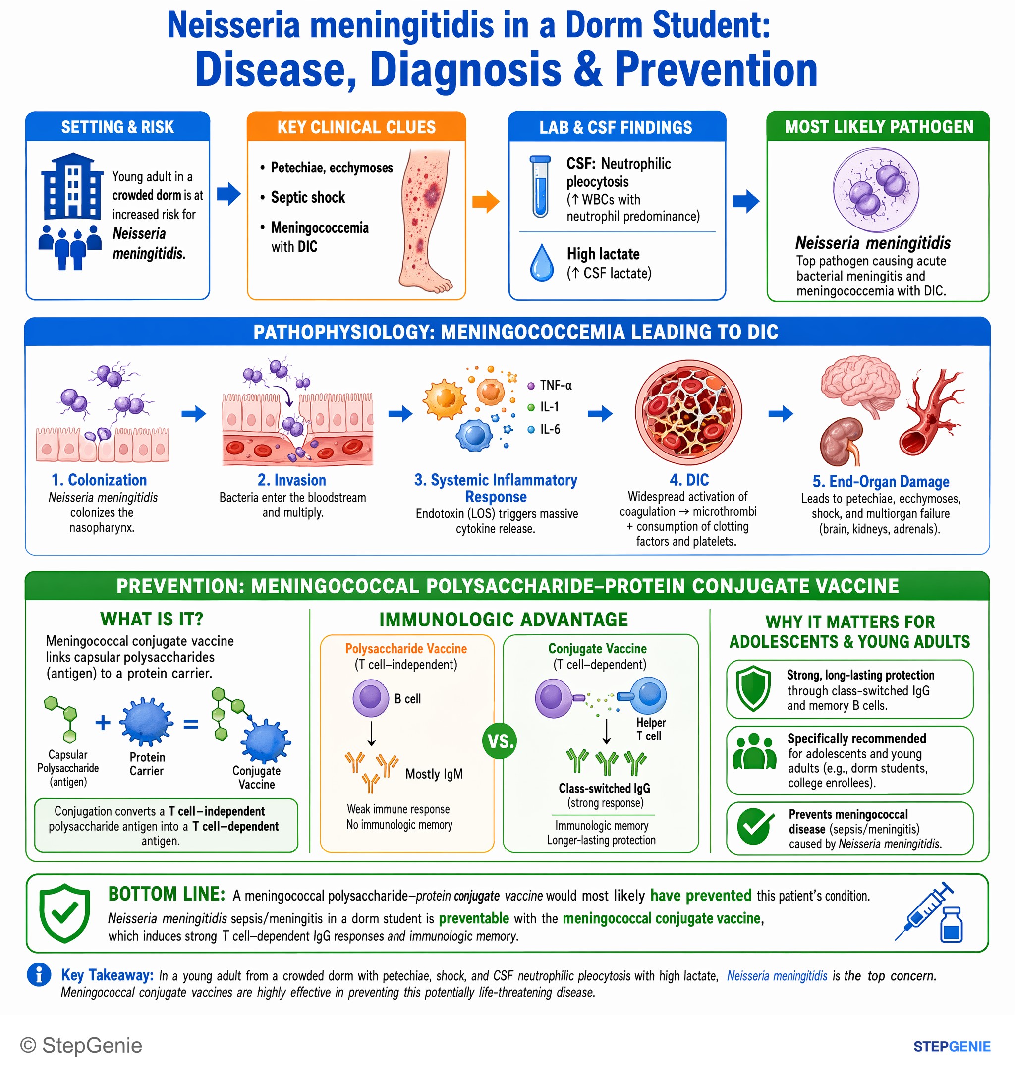 Bacterial infections — StepGenie USMLE Step 1 explanation infographic