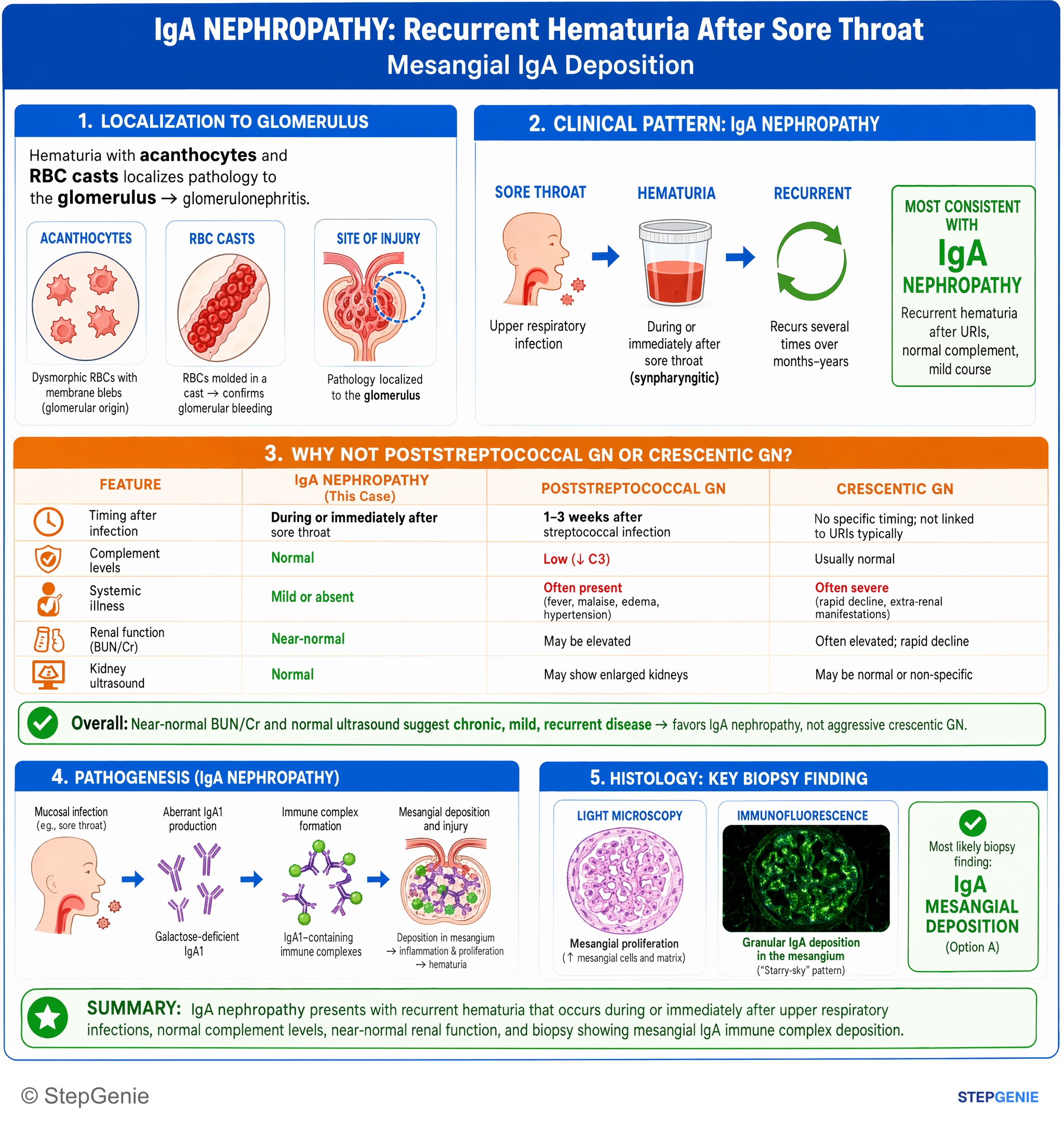 Glomerular diseases — StepGenie USMLE Step 1 explanation infographic