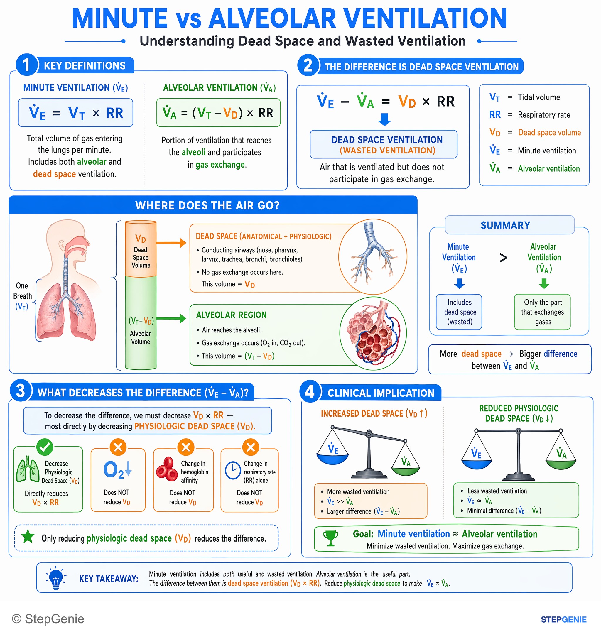 Normal pulmonary structure and function — StepGenie USMLE Step 1 explanation infographic