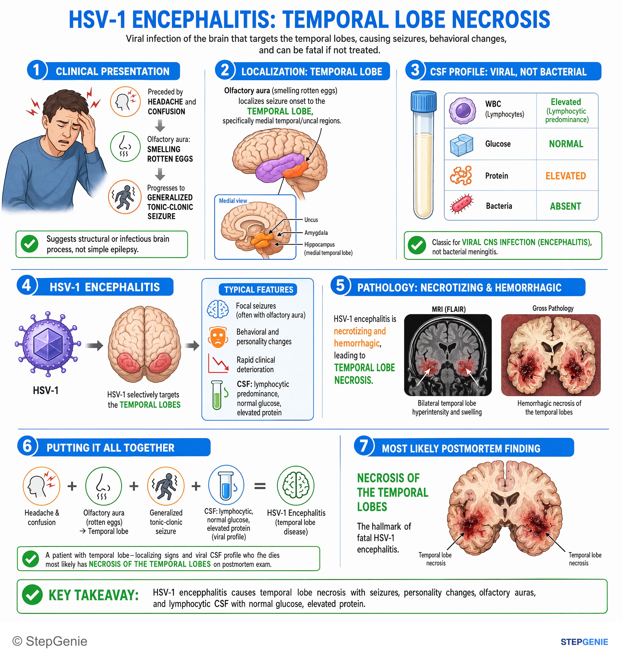 CNS infections — StepGenie USMLE Step 1 explanation infographic