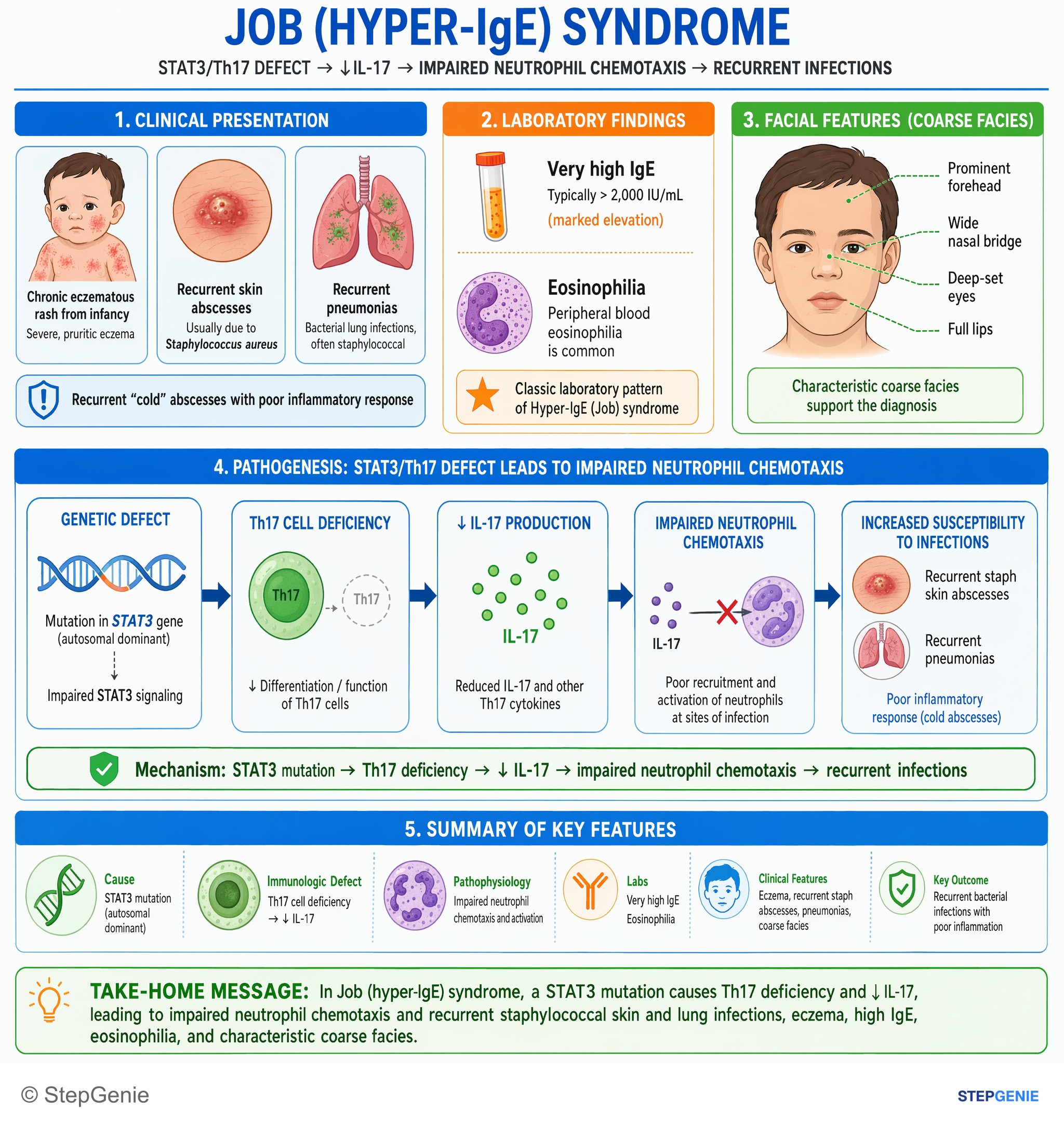 Cell-mediated immunity and disorders — StepGenie USMLE Step 1 explanation infographic