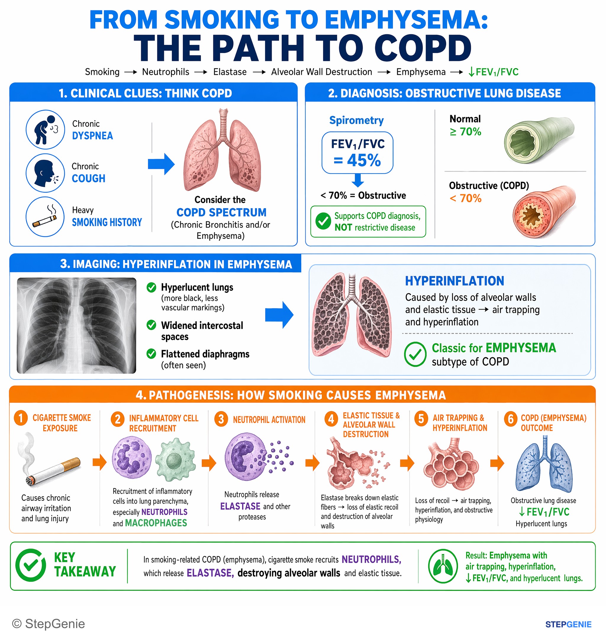 Obstructive lung disease — StepGenie USMLE Step 1 explanation infographic