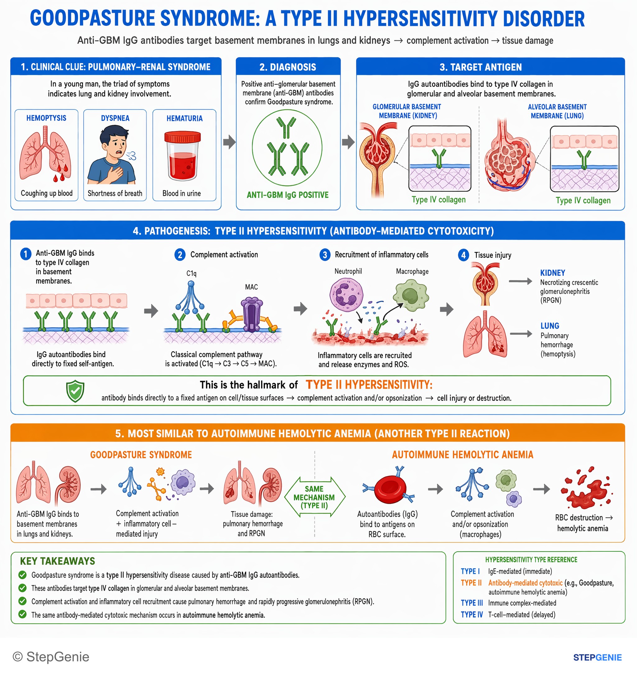 Autoimmune processes — StepGenie USMLE Step 1 explanation infographic