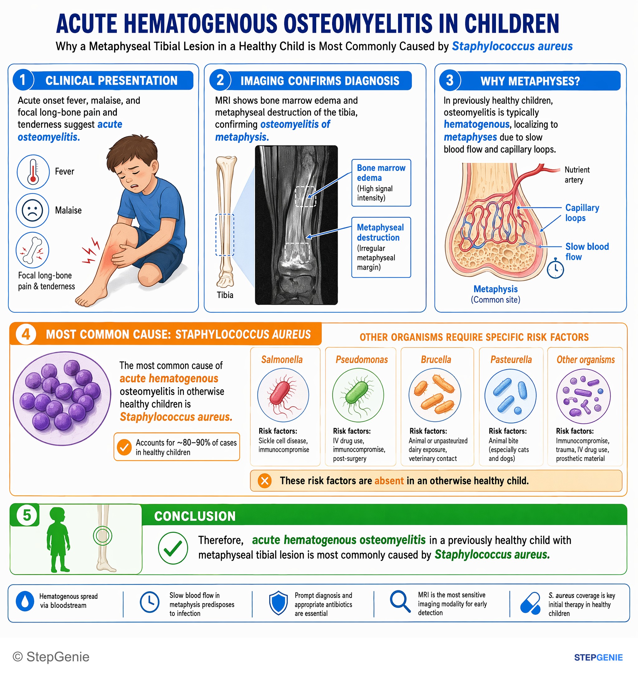 Bone/joint injuries and infections — StepGenie USMLE Step 1 explanation infographic