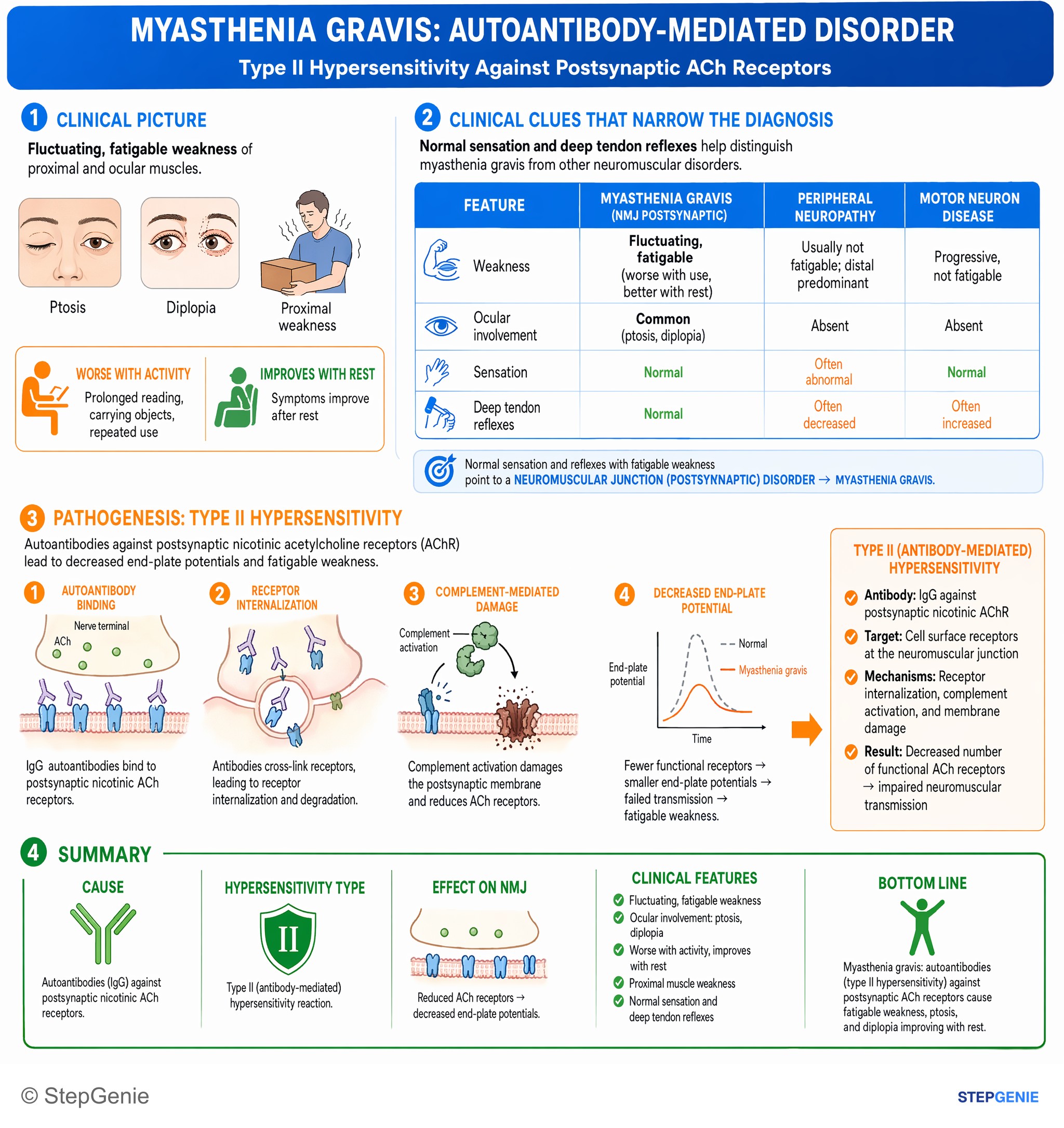 Autoimmune conditions — StepGenie USMLE Step 1 explanation infographic