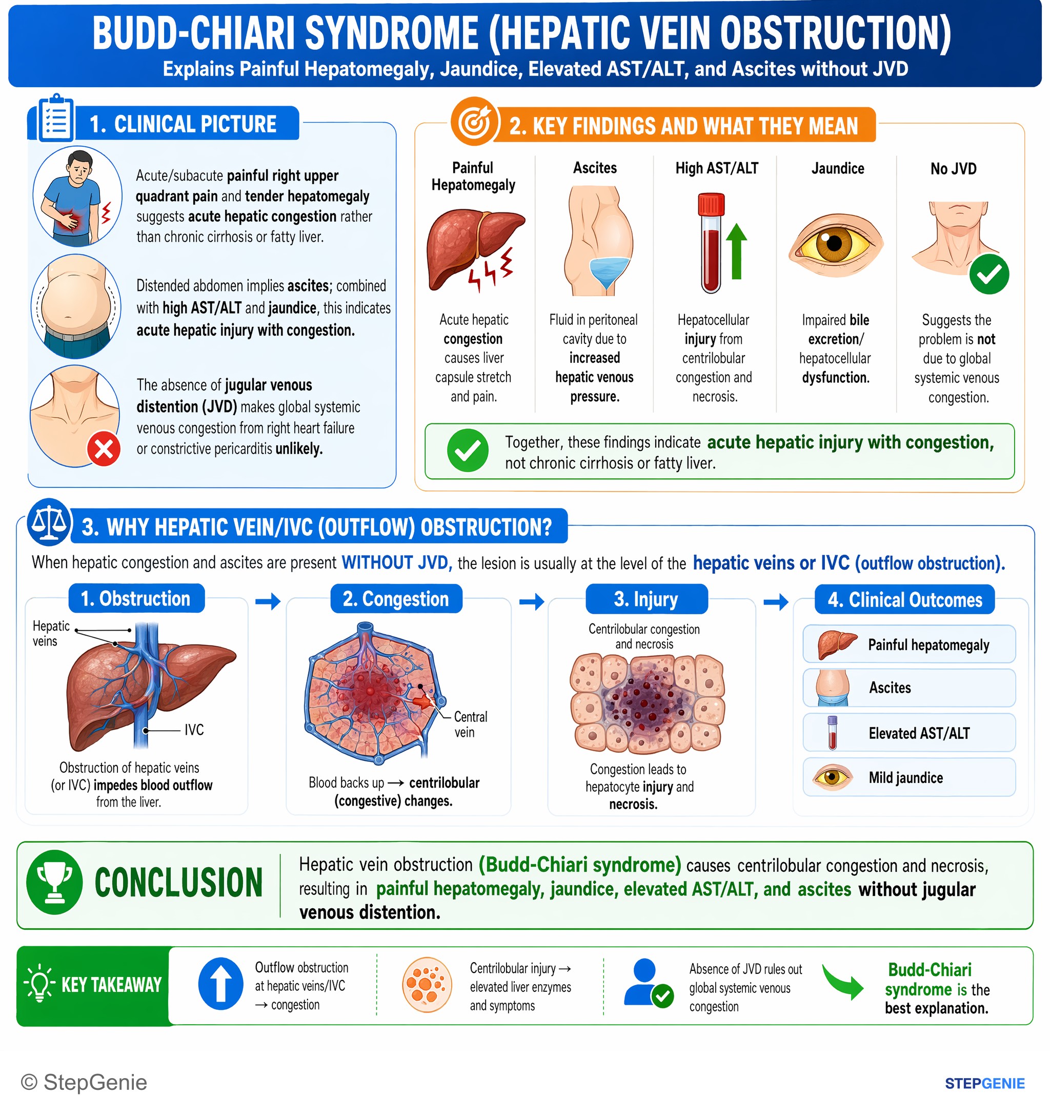 Hepatic disorders — StepGenie USMLE Step 1 explanation infographic