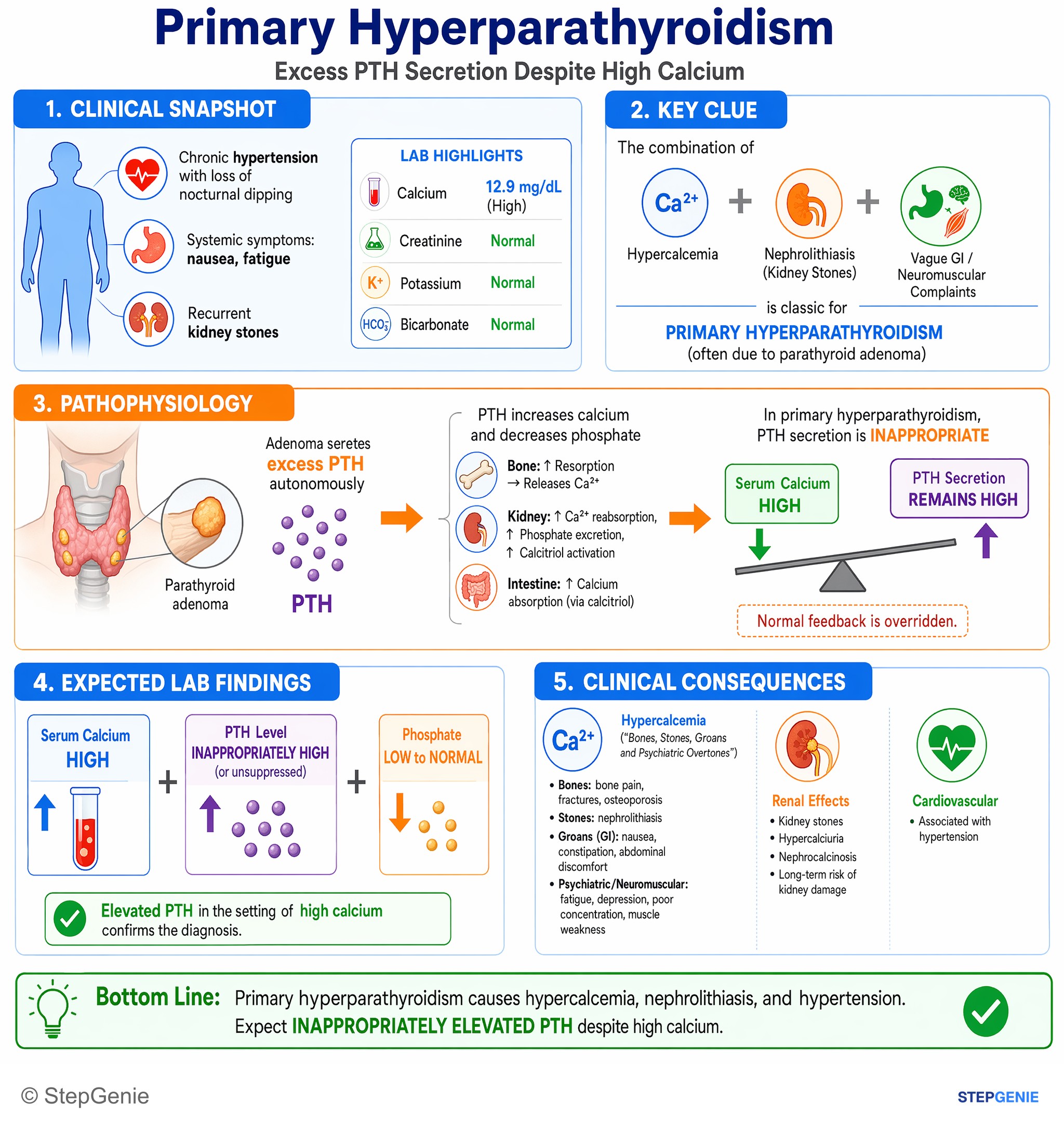 PTH, Ca, PO4, ALP, Vit D stuff — StepGenie USMLE Step 1 explanation infographic