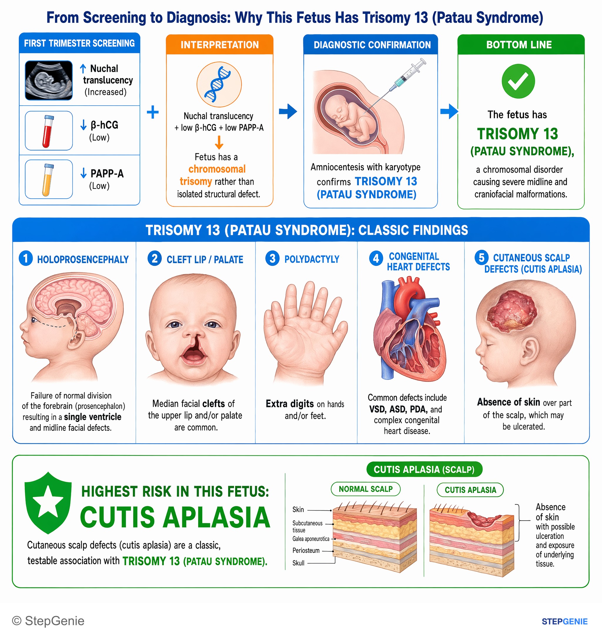 Disorders of pregnancy (non-infectious) — StepGenie USMLE Step 1 explanation infographic