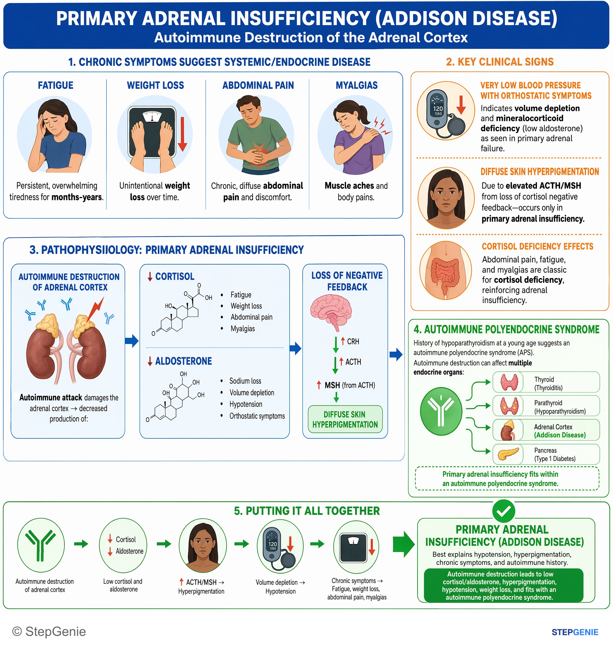 Adrenal disorders — StepGenie USMLE Step 1 explanation infographic