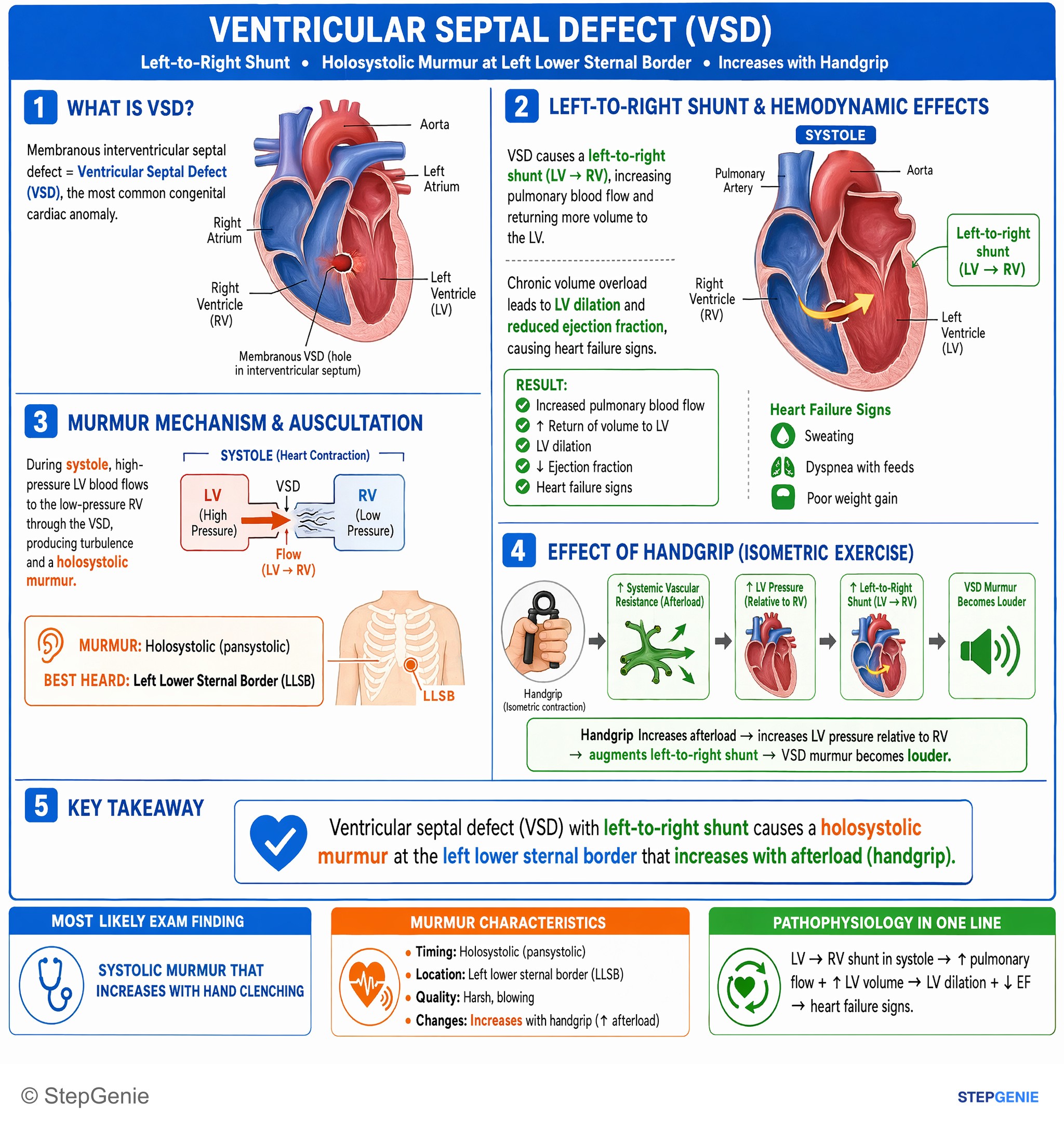 Murmurs — StepGenie USMLE Step 1 explanation infographic