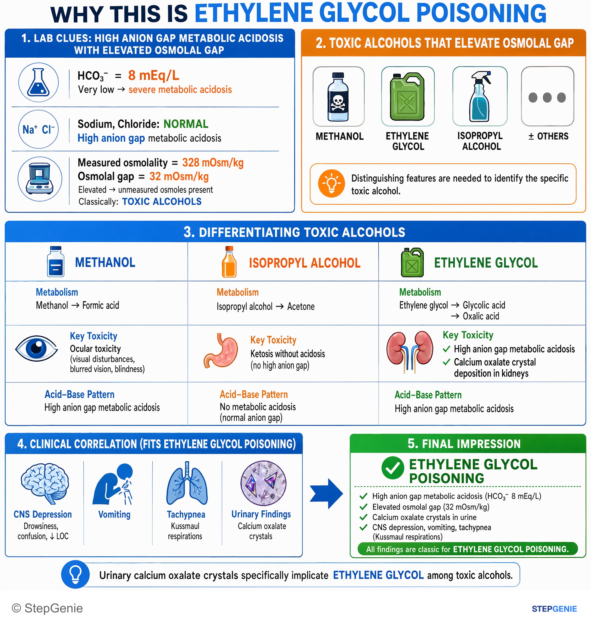 Fluid, electrolytes, and acid-base — StepGenie USMLE Step 1 explanation infographic